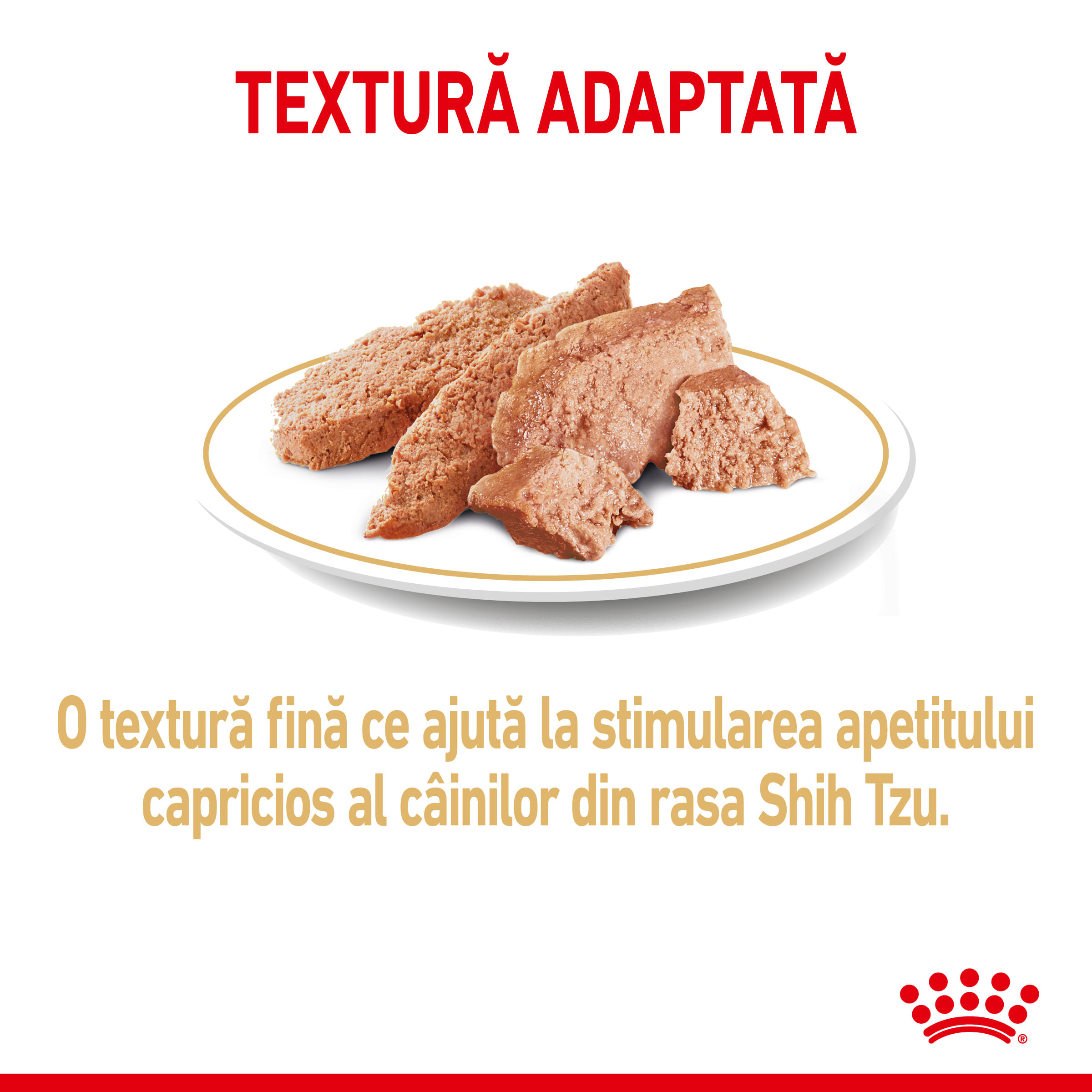 ROYAL CANIN Shih Tzu Adult hrană umedă câini (pate), 85g - poza 5