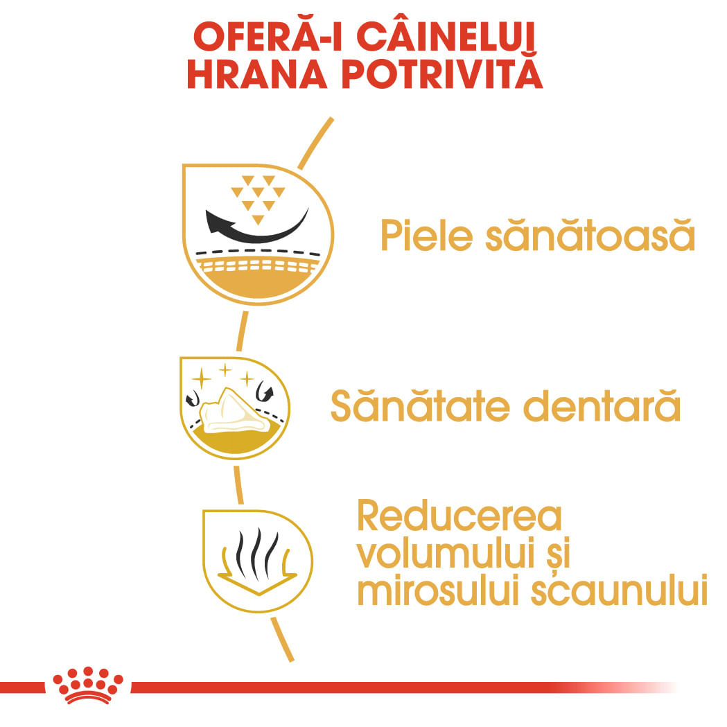 ROYAL CANIN Shih Tzu Adult, hrană uscată câini, 1.5kg - poza 5