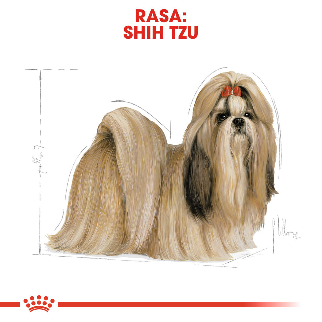 ROYAL CANIN Shih Tzu Adult, hrană uscată câini, 3kg - poza 4
