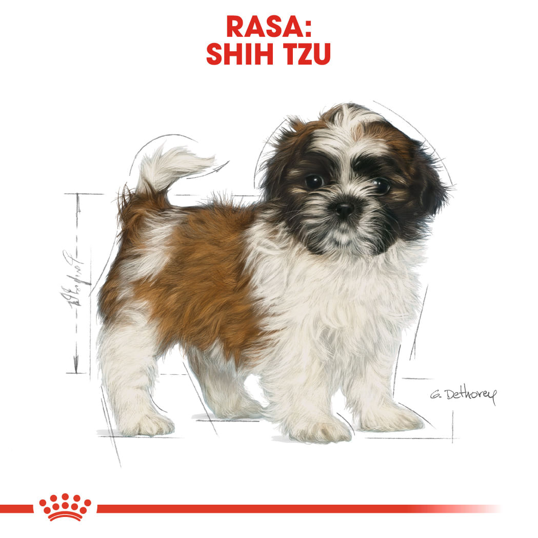 ROYAL CANIN Shih Tzu Puppy, hrană uscată câini junior, 1.5kg - poza 4