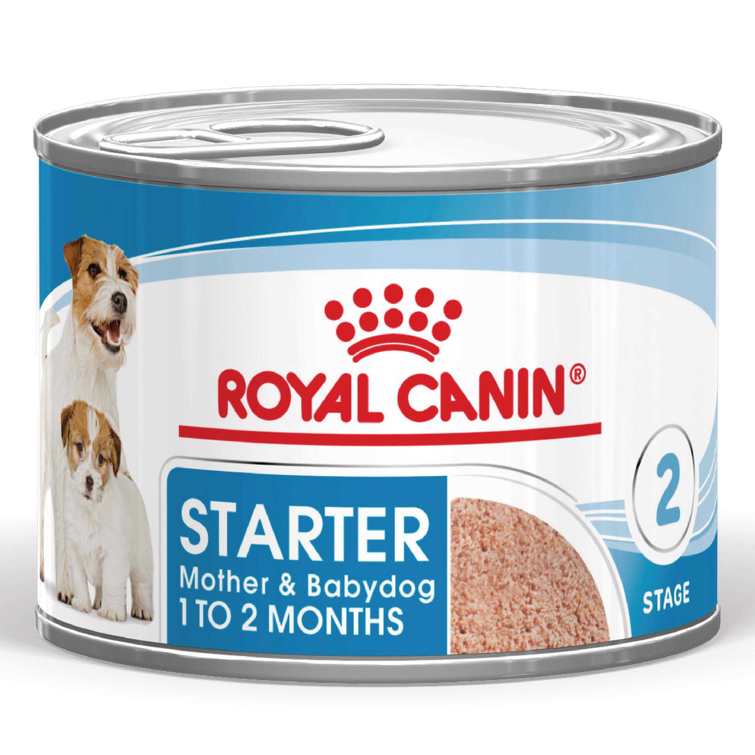 ROYAL CANIN Starter Mousse, mama și puiul, conservă hrană umedă câini, (mousse), 195g - poza 2