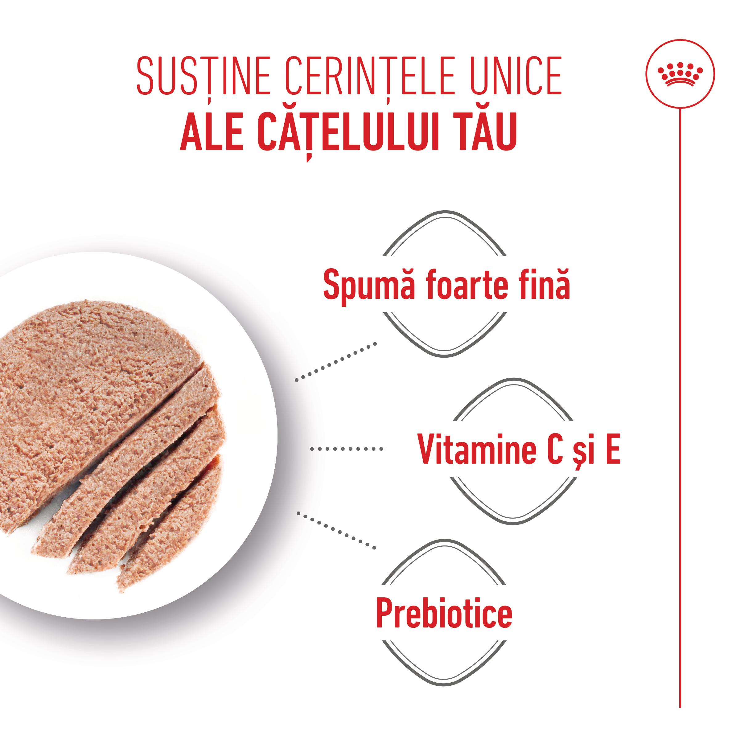 ROYAL CANIN Starter Mousse, mama și puiul, conservă hrană umedă câini, (mousse), 195g - poza 5