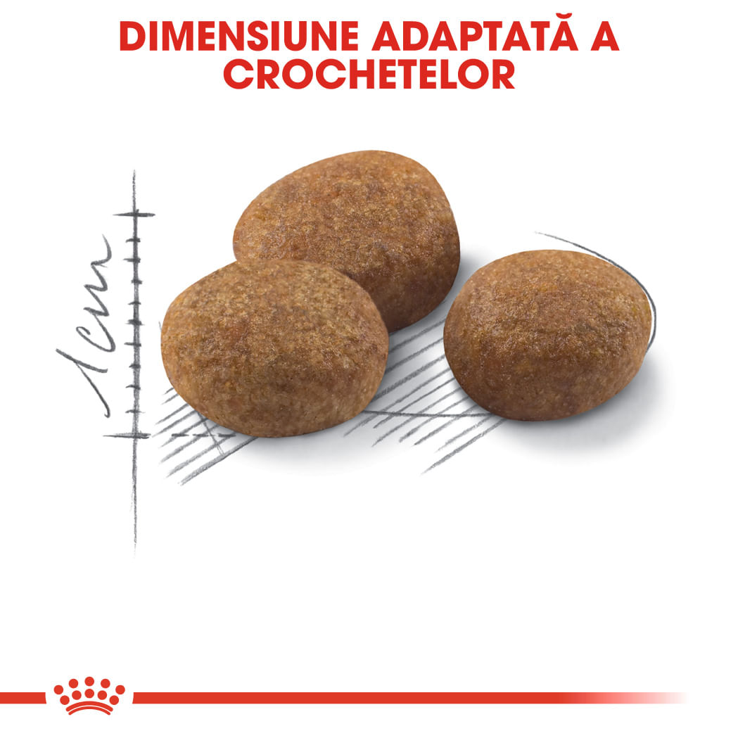 ROYAL CANIN Sterilised 7+, hrană uscată pisici sterilizate, 1.5kg - poza 5