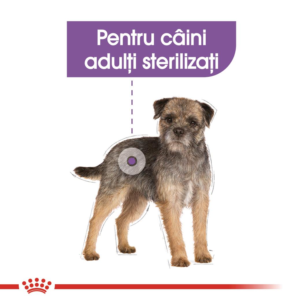 ROYAL CANIN Sterilised Adult, hrană umedă câini sterilizați, (pate), 85g - poza 4
