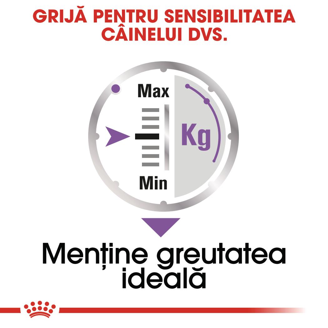 ROYAL CANIN Sterilised Adult, hrană umedă câini sterilizați, (pate), 85g - poza 5