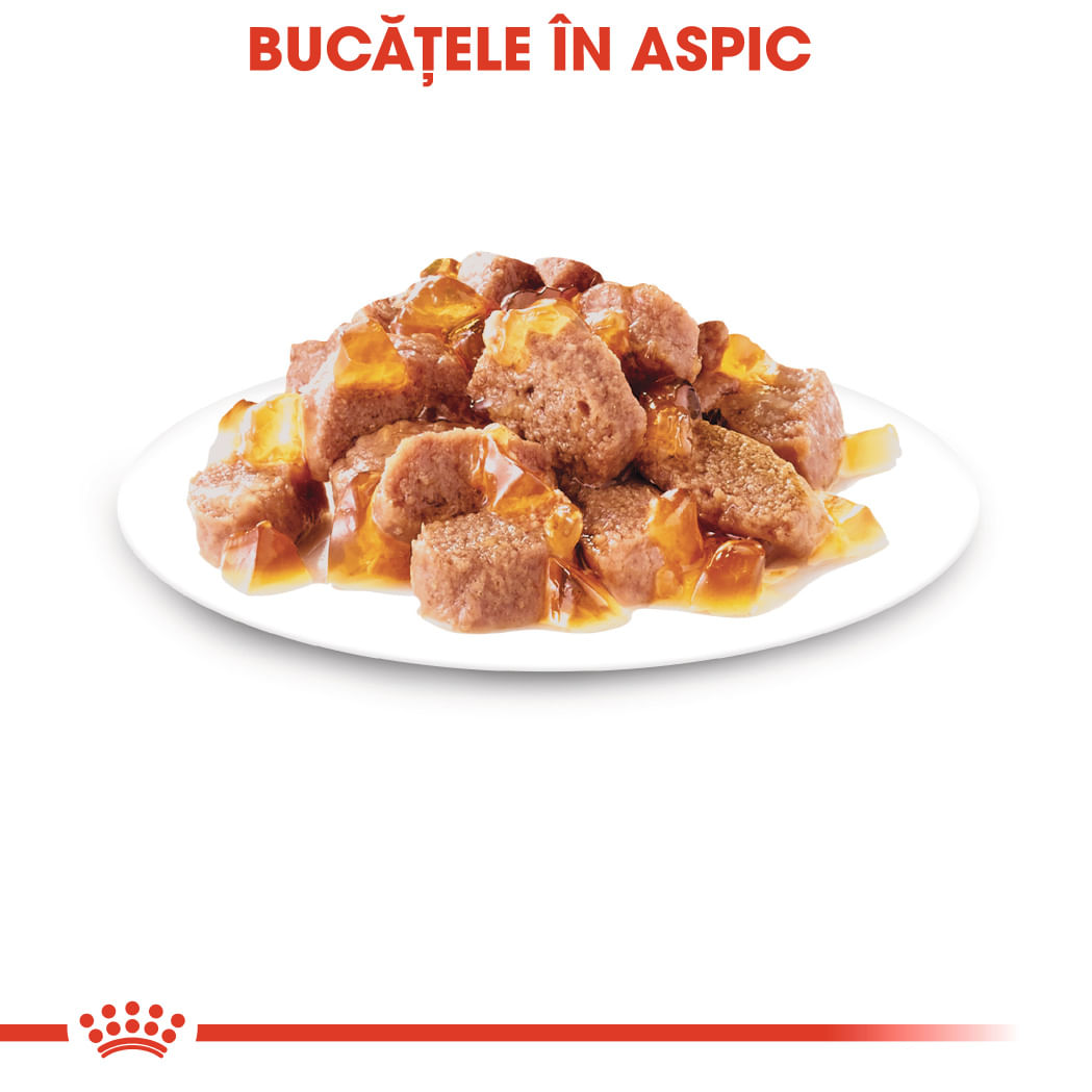 ROYAL CANIN Sterilised Adult hrană umedă pisici sterilizate (în aspic), 85g - poza 5
