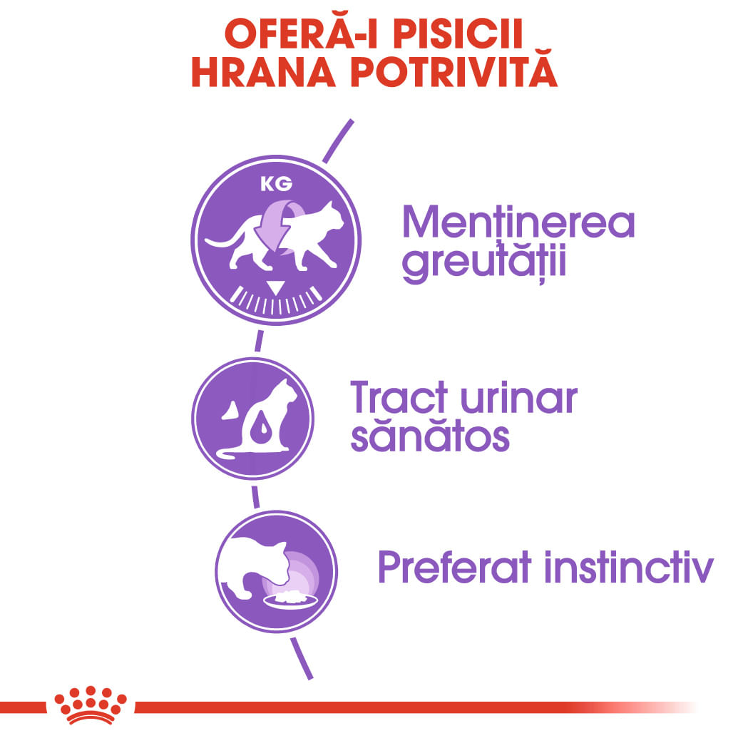 ROYAL CANIN Sterilised Adult hrană umedă pisici sterilizate (în aspic), bax, 85g x 12buc - poza 4