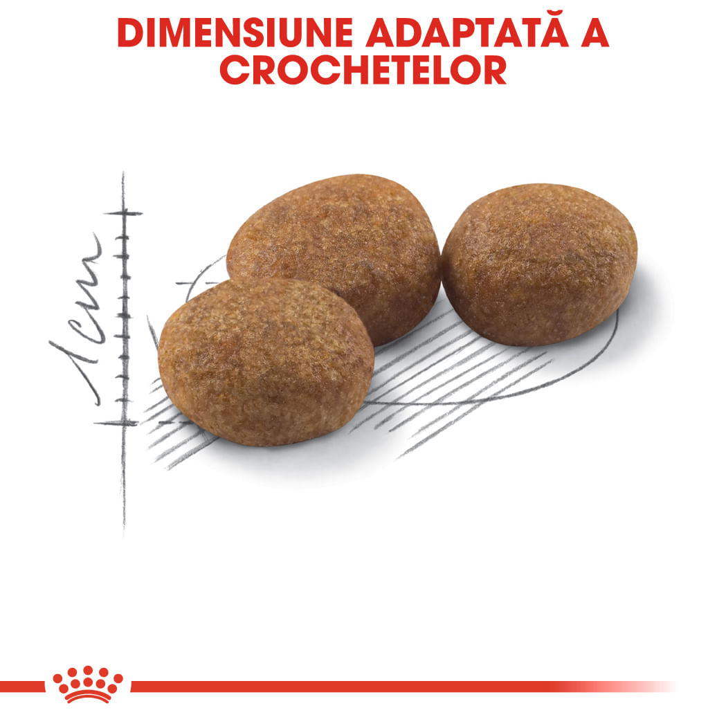 ROYAL CANIN Sterilised Adult, hrană uscată pisici sterilizate, 2kg - poza 5