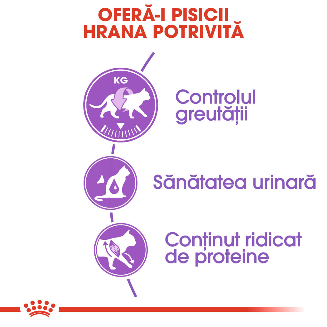 ROYAL CANIN Sterilised Adult, hrană uscată pisici sterilizate, 4kg - poza 4