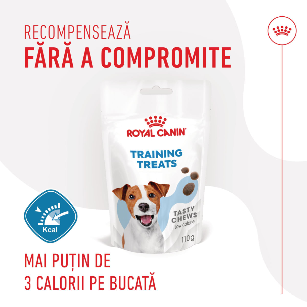 ROYAL CANIN Training Treats, recompense nutriționale pentru dresaj, 110g - poza 4