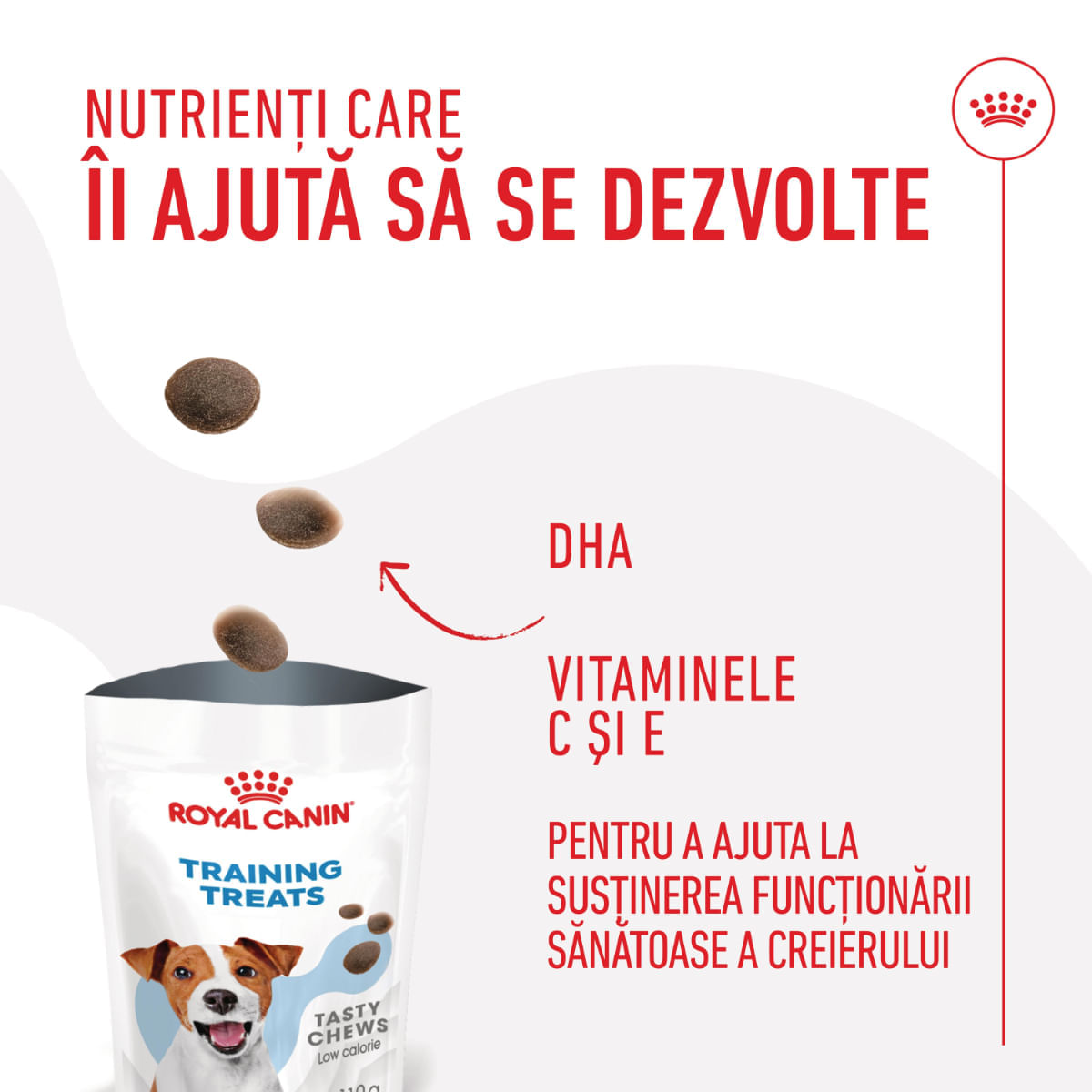 ROYAL CANIN Training Treats, recompense nutriționale pentru dresaj, 110g - poza 5