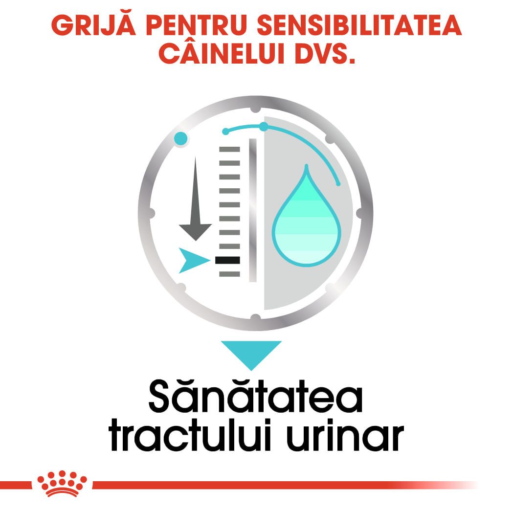 ROYAL CANIN Urinary Care Adult, hrană umedă câini, sănătatea tractului urinar, (pate), bax, 85g x 12buc - poza 5