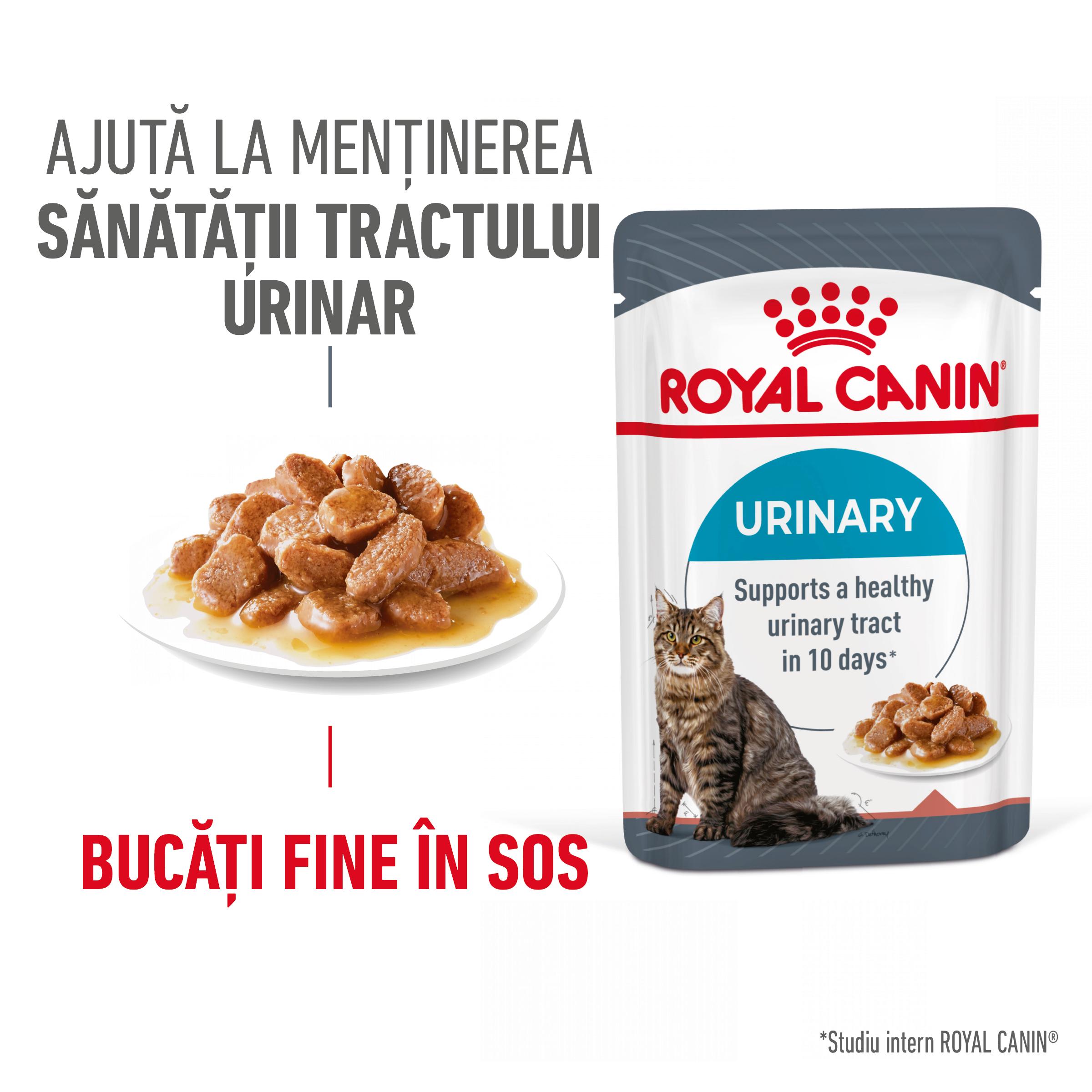 ROYAL CANIN Urinary Care Adult, hrană umedă pisici, sănătatea tractului urinar, (în sos), 85g - poza 1
