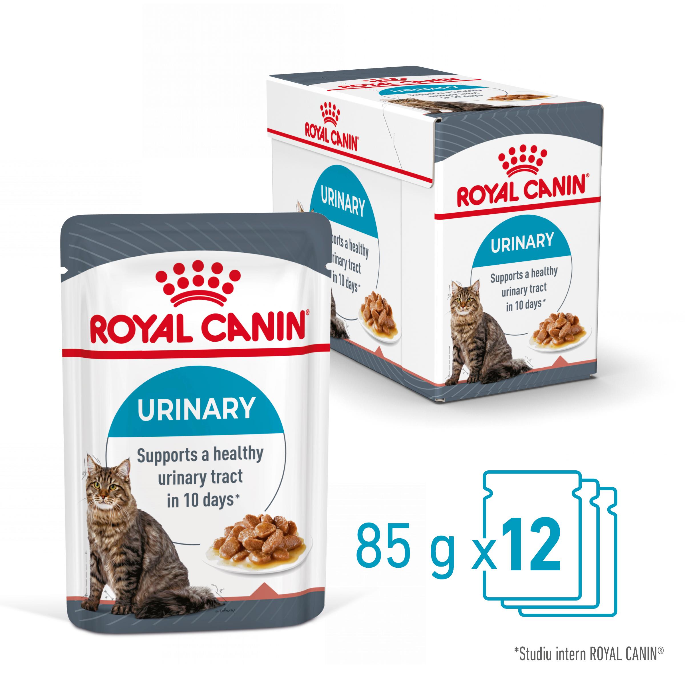 ROYAL CANIN Urinary Care Adult, hrană umedă pisici, sănătatea tractului urinar, (în sos), bax, 85g x 12buc - poza 1