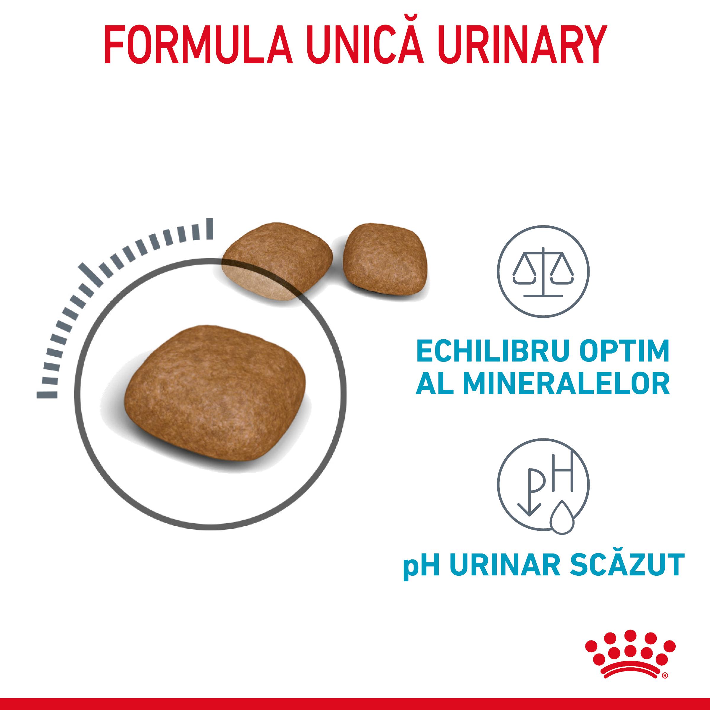 ROYAL CANIN Urinary Care Adult, hrană uscată pisici, sănătatea tractului urinar, 2kg - poza 4