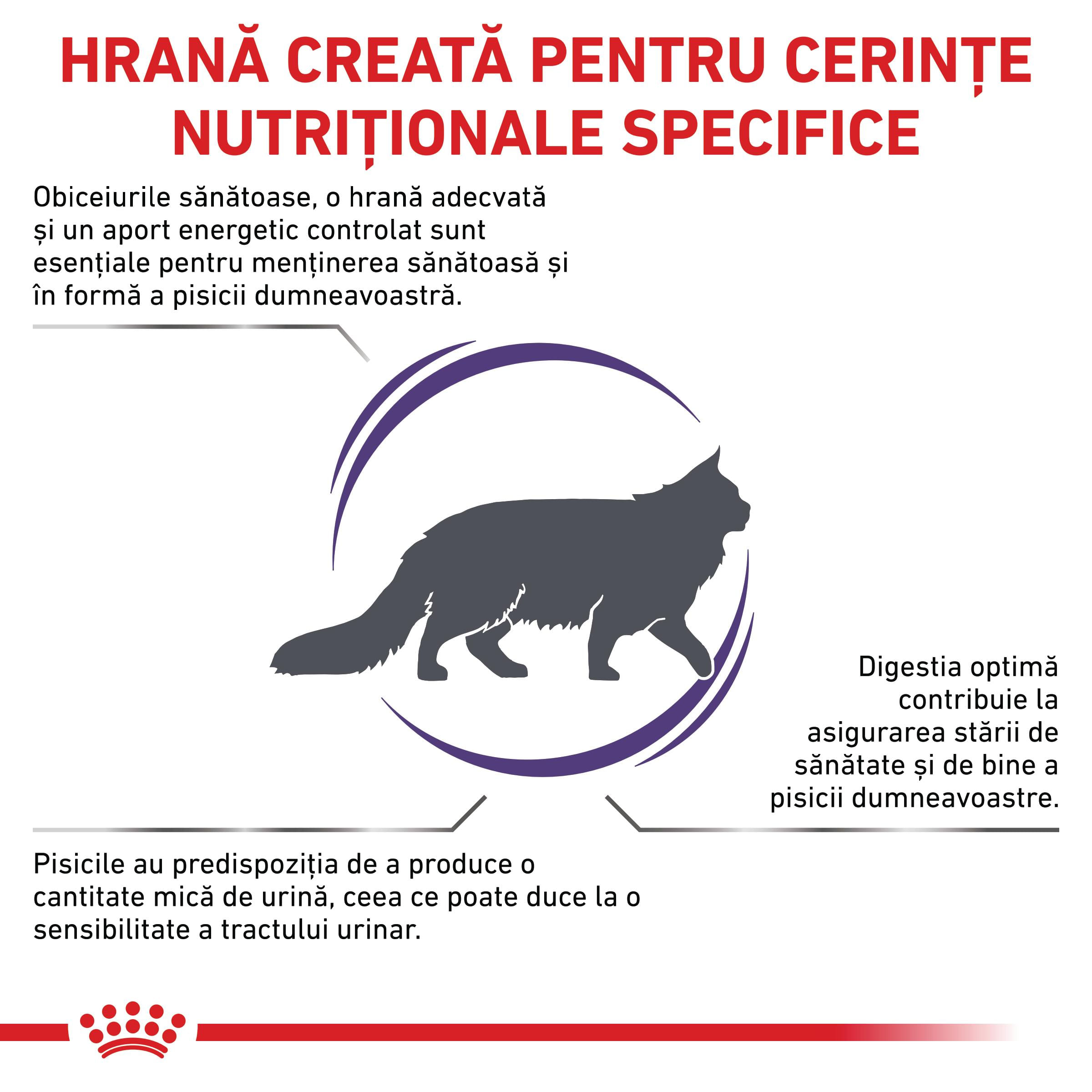 ROYAL CANIN VD Adult Cat, dietă veterinară, hrană uscată pisici, 8kg - poza 3