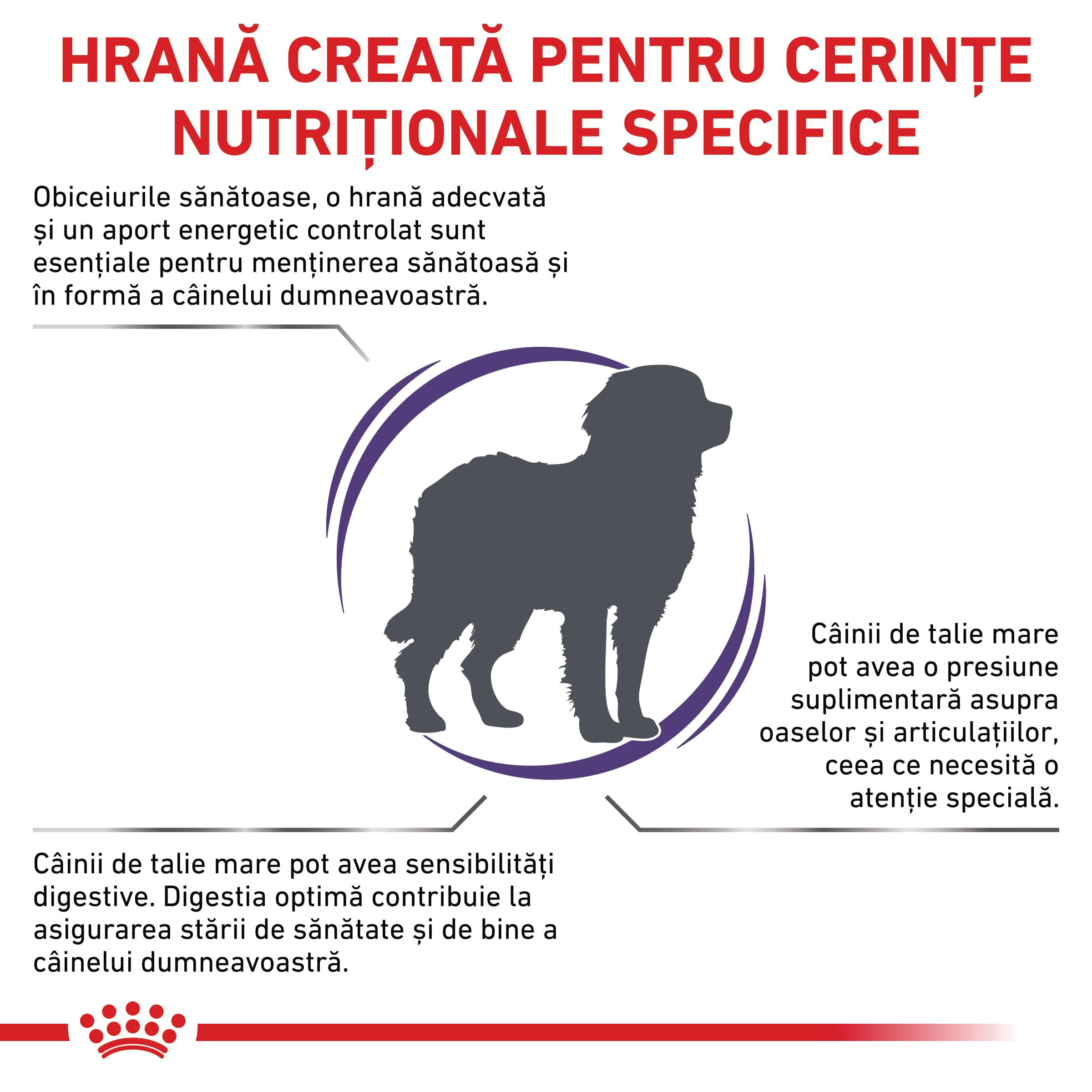 ROYAL CANIN VD Adult Large Dog, L-XL, dietă veterinară, hrană uscată câini, 13kg - poza 3