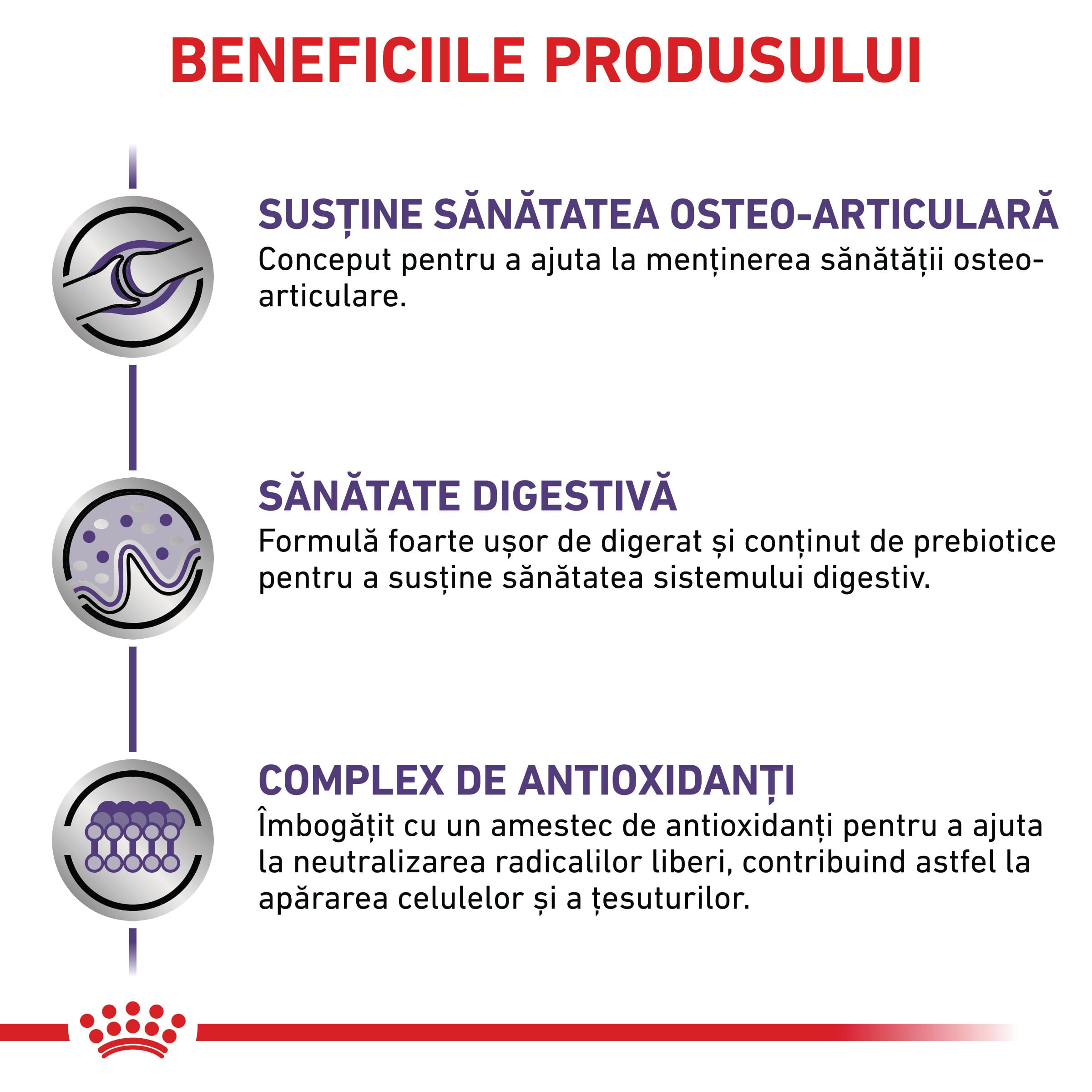 ROYAL CANIN VD Adult Large Dog, L-XL, dietă veterinară, hrană uscată câini, 13kg - poza 4