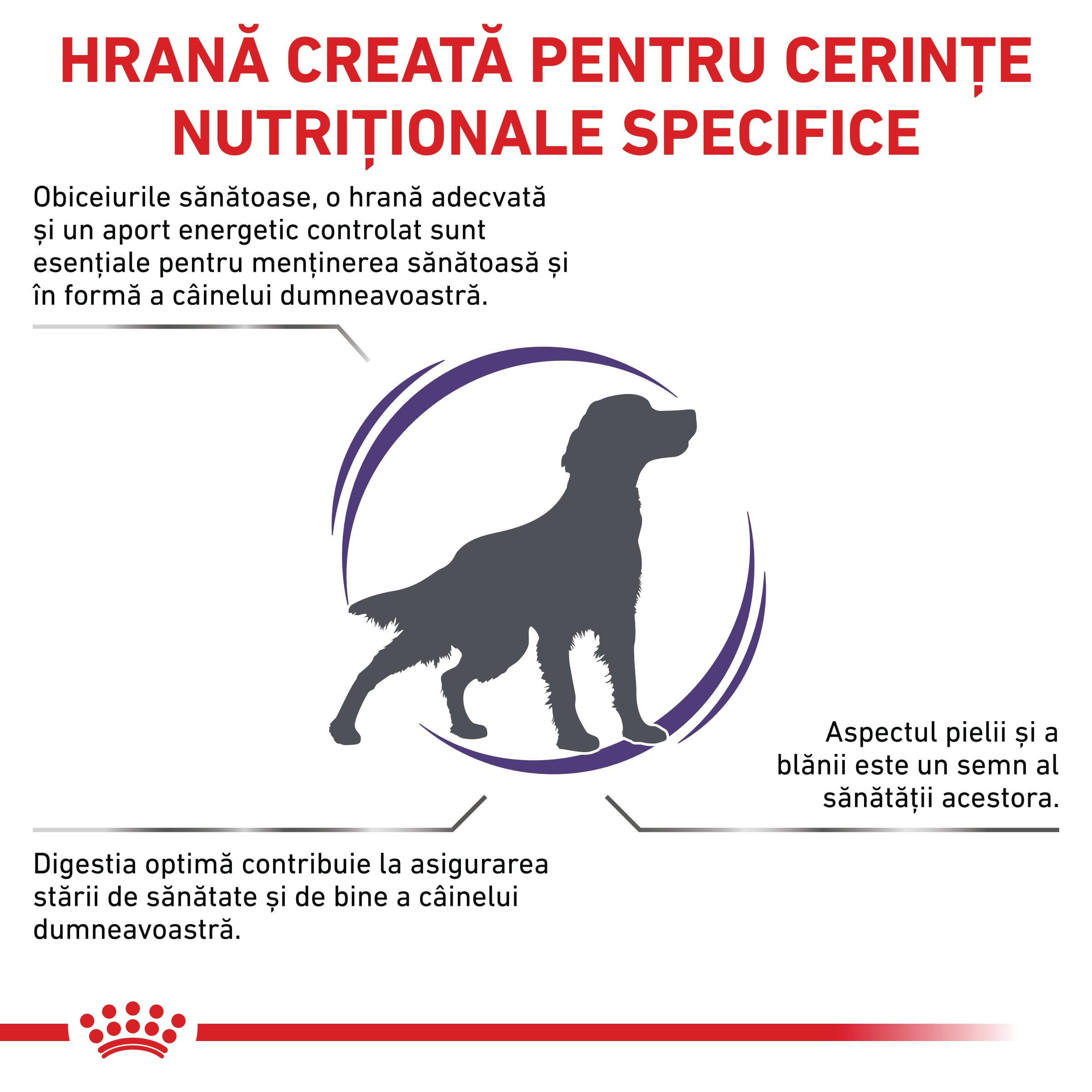 ROYAL CANIN VD Adult Medium Dog, M, dietă veterinară, hrană uscată câini, 10kg - poza 3