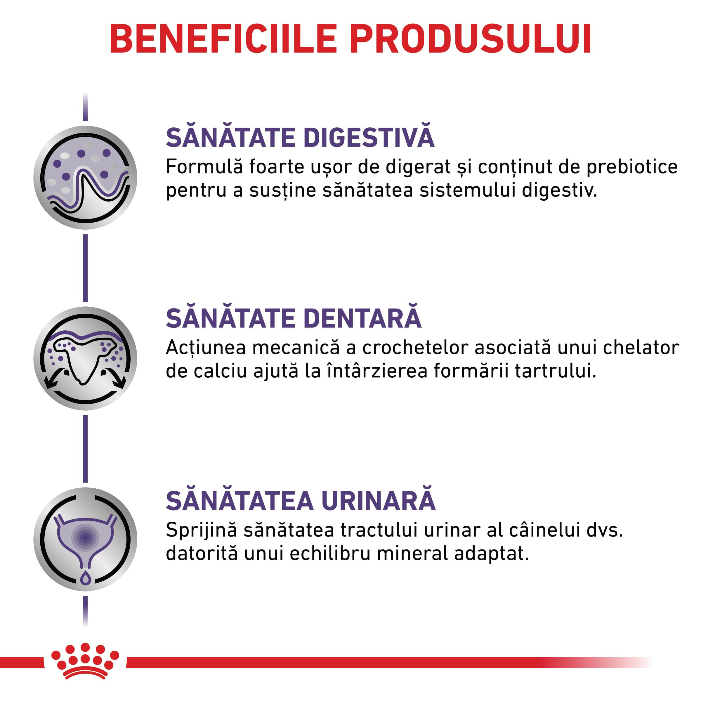 ROYAL CANIN VD Adult Small Dog, XS-S, dietă veterinară, hrană uscată câini, 2kg - poza 4