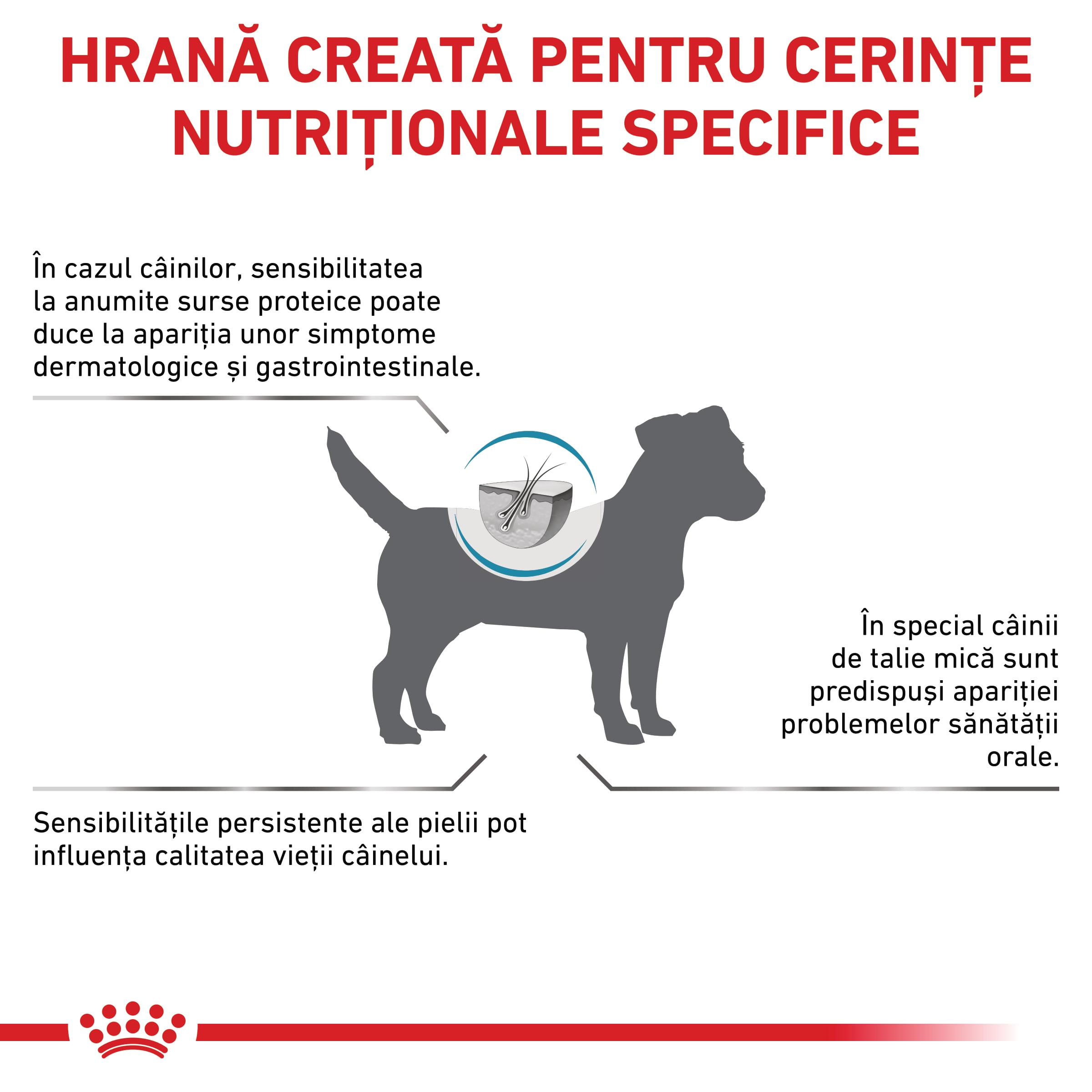 ROYAL CANIN VD Anallergenic Small Dog, XS-S, dietă veterinară, hrană uscată câini, alergii alimentare, 1.5kg - poza 3