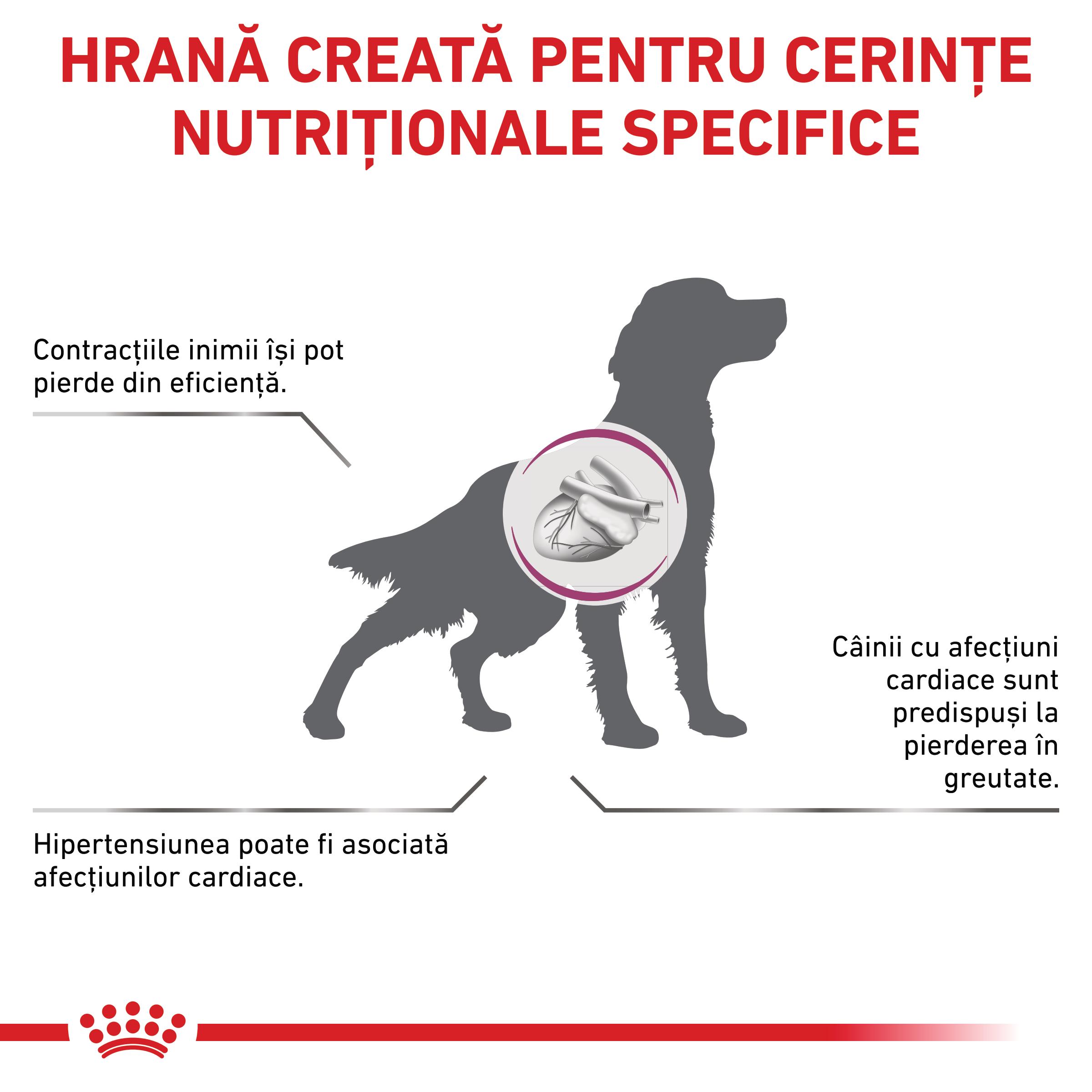 ROYAL CANIN VD Cardiac, XS-XL, dietă veterinară, hrană uscată câini, sistem cardio-vascular, 2kg - poza 3
