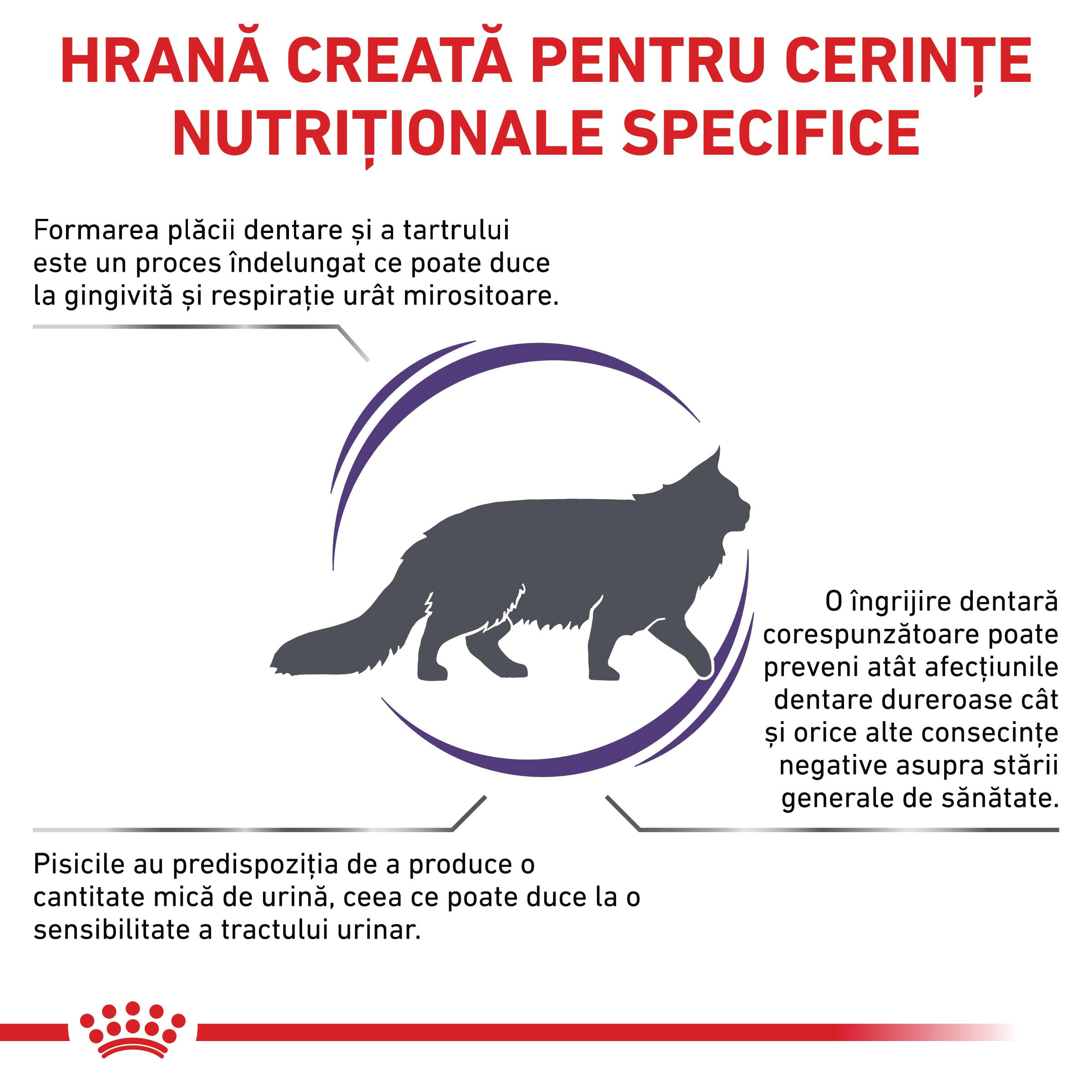 ROYAL CANIN VD Dental, dietă veterinară, hrană uscată pisici, sensibilități dentare, 1.5kg - poza 3