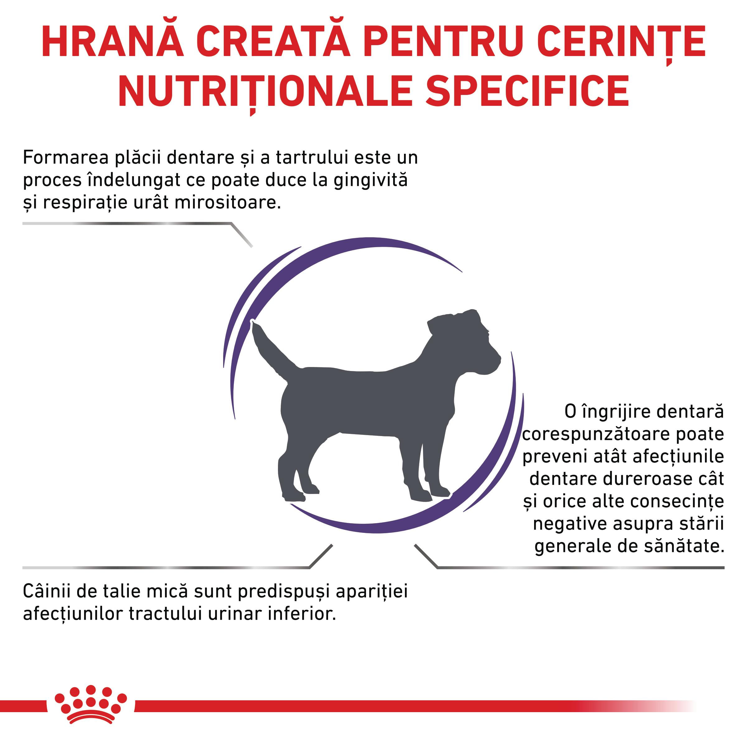 ROYAL CANIN VD Dental Small Dog, XS-S, dietă veterinară, hrană uscată câini, sensibilități dentare, 1.5kg - poza 3