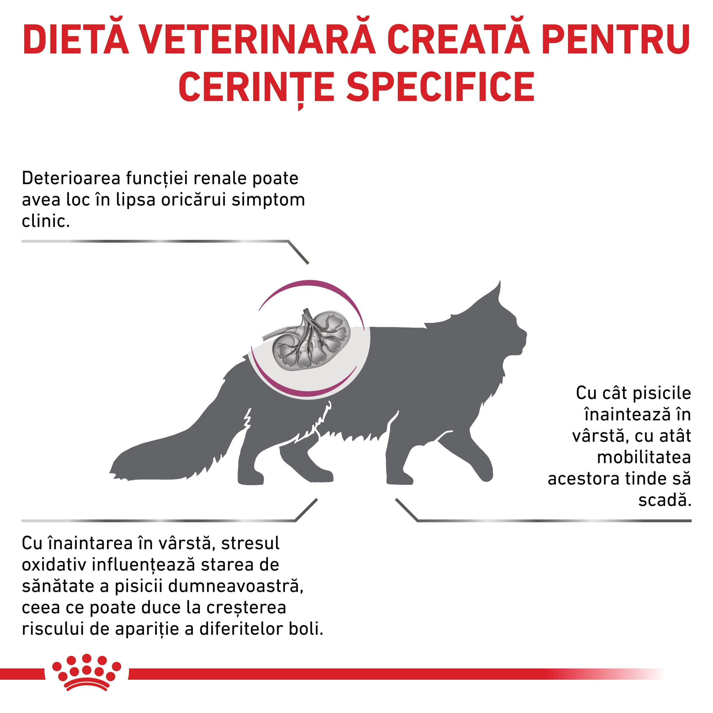 ROYAL CANIN VD Early Renal, dietă veterinară, hrană uscată pisici, sistem renal, 3.5kg - poza 3