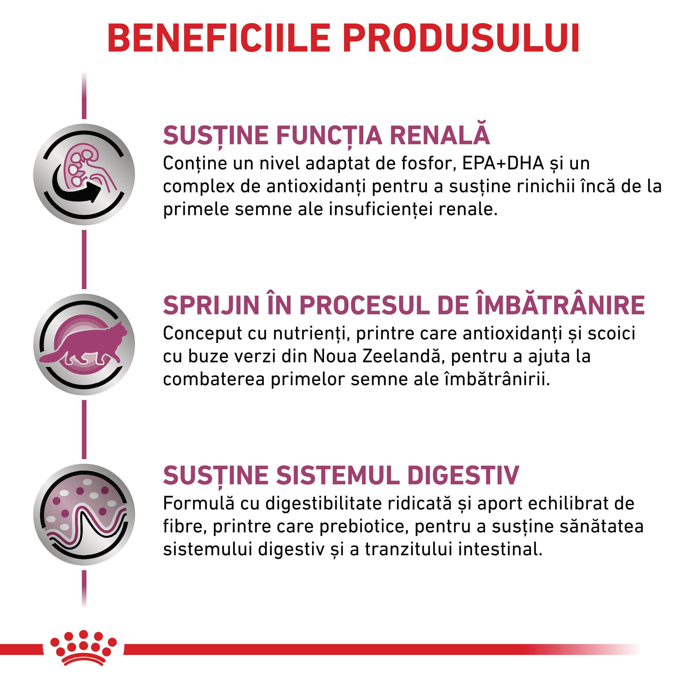 ROYAL CANIN VD Early Renal, dietă veterinară, hrană uscată pisici, sistem renal, 3.5kg - poza 4
