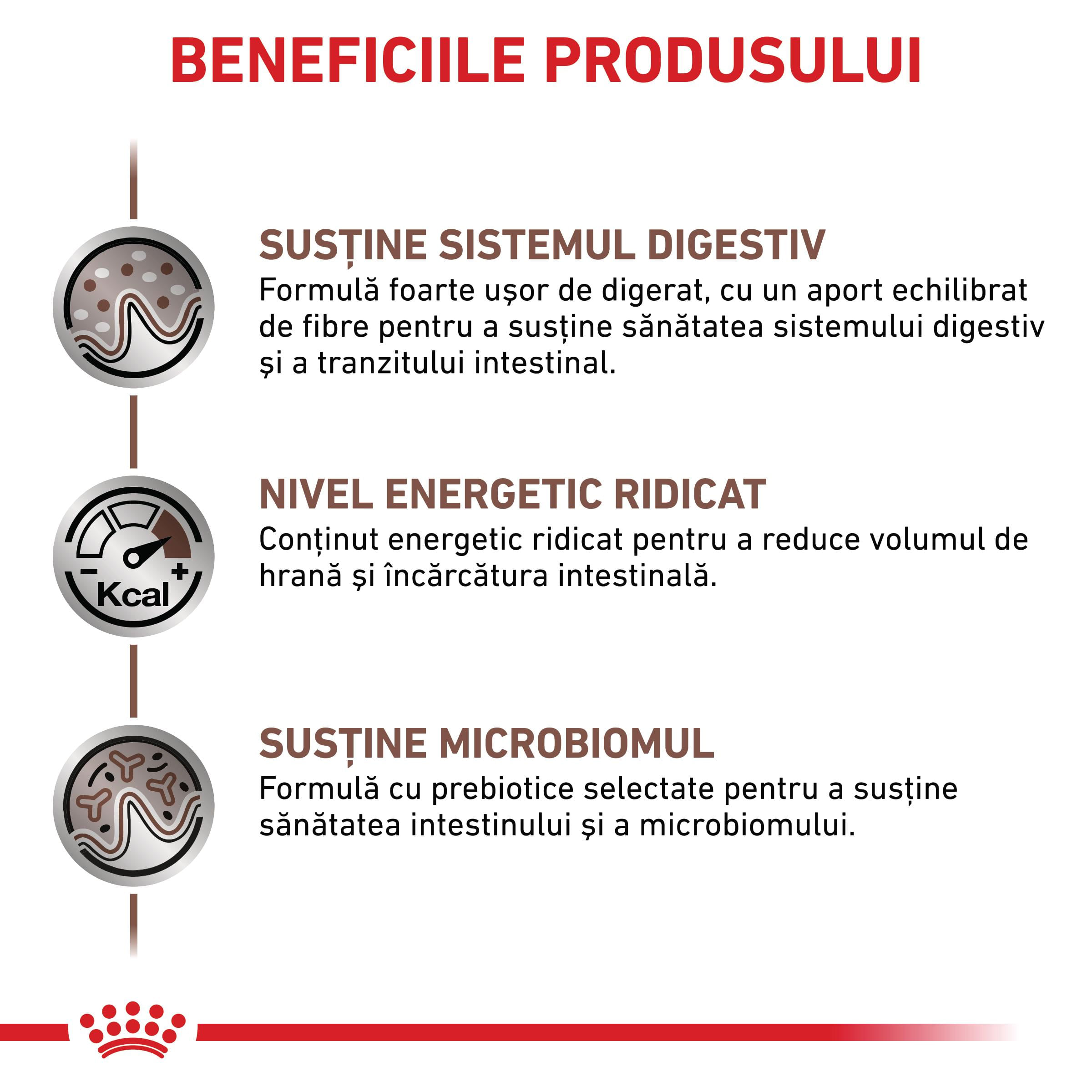 ROYAL CANIN VD Gastrointestinal, dietă veterinară, hrană uscată pisici, sistem digestiv, 400g - poza 4