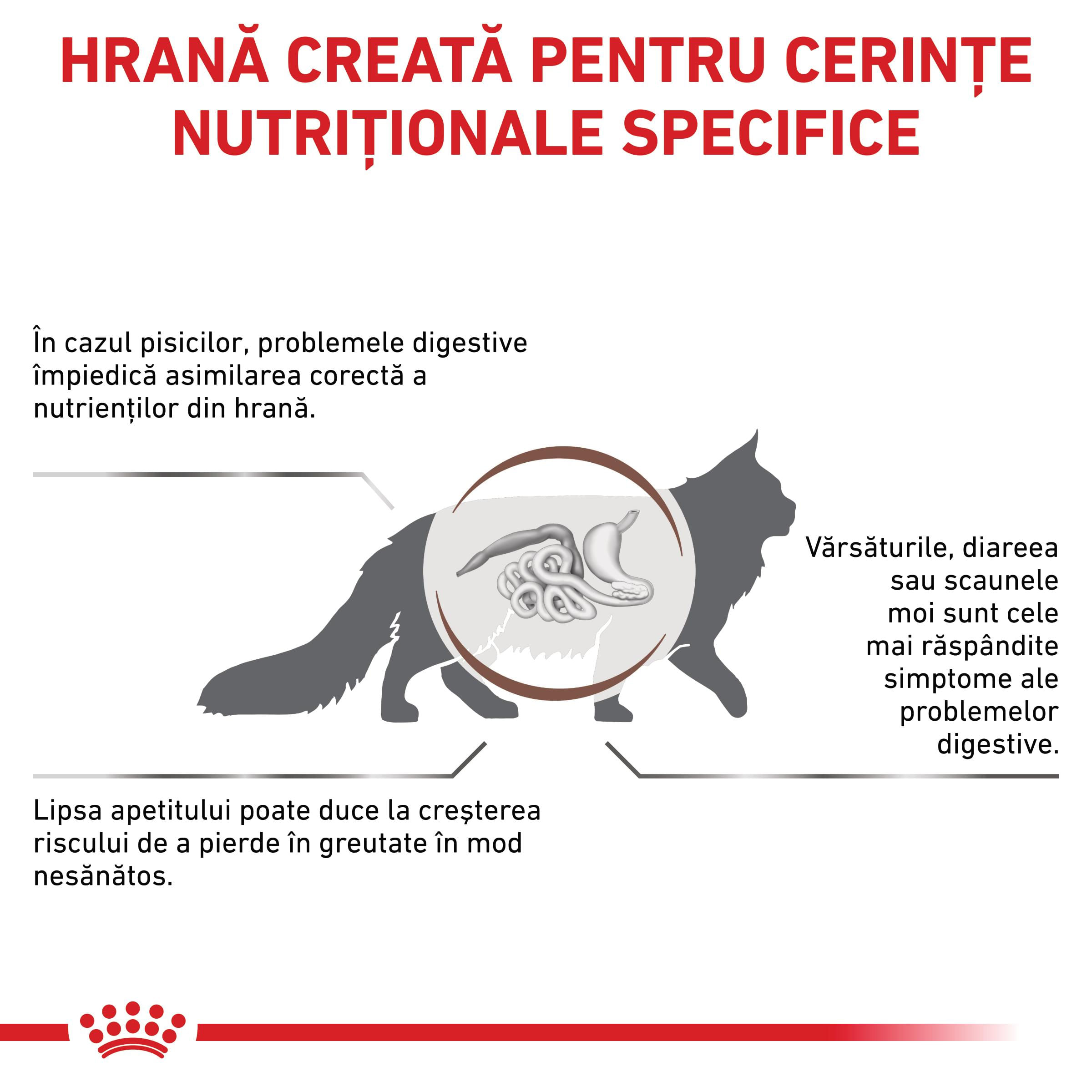 ROYAL CANIN VD Gastrointestinal, dietă veterinară, hrană uscată pisici, sistem digestiv, 4kg - poza 3