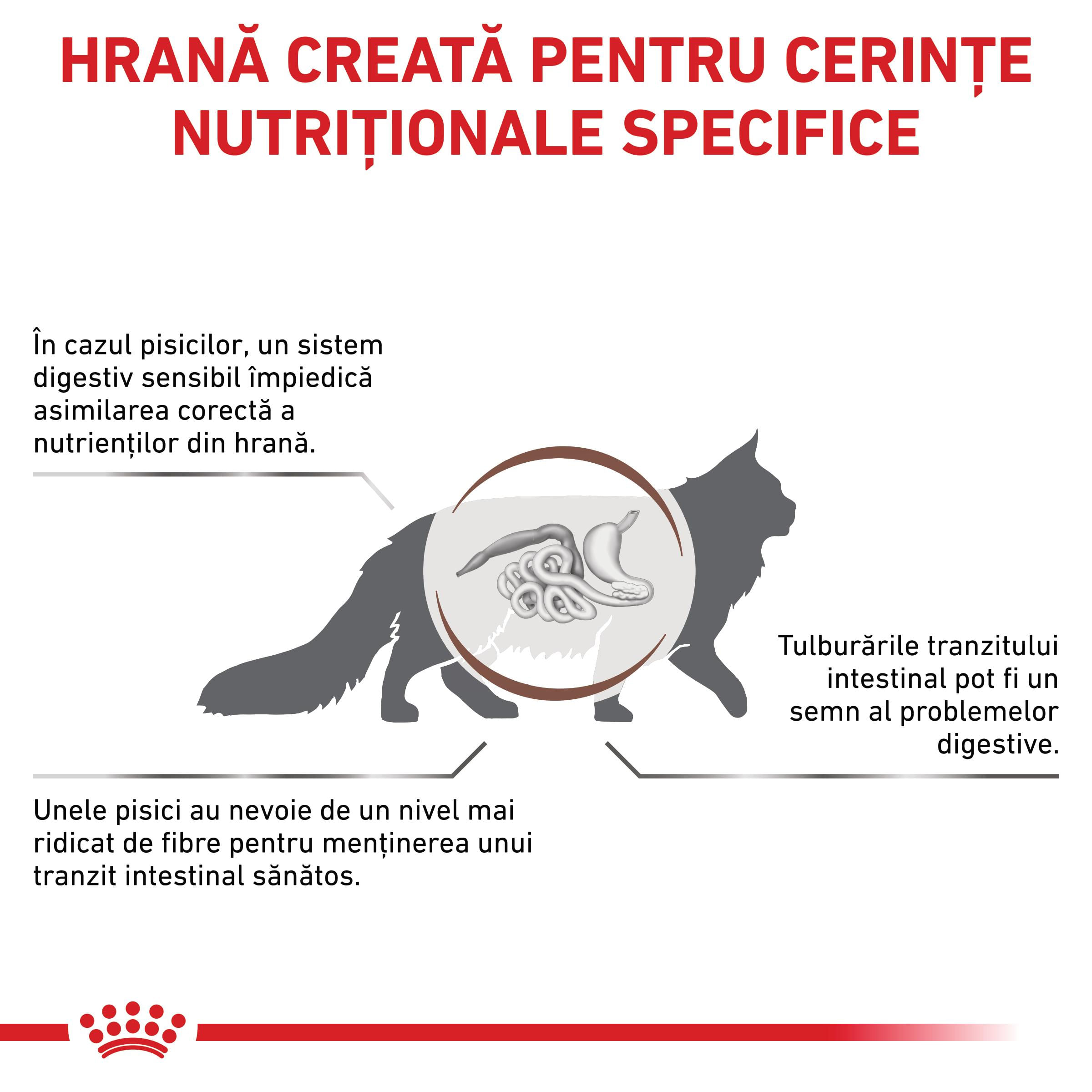 ROYAL CANIN VD Gastrointestinal Fibre Response, dietă veterinară, hrană uscată pisici, sistem digestiv, 2kg - poza 3