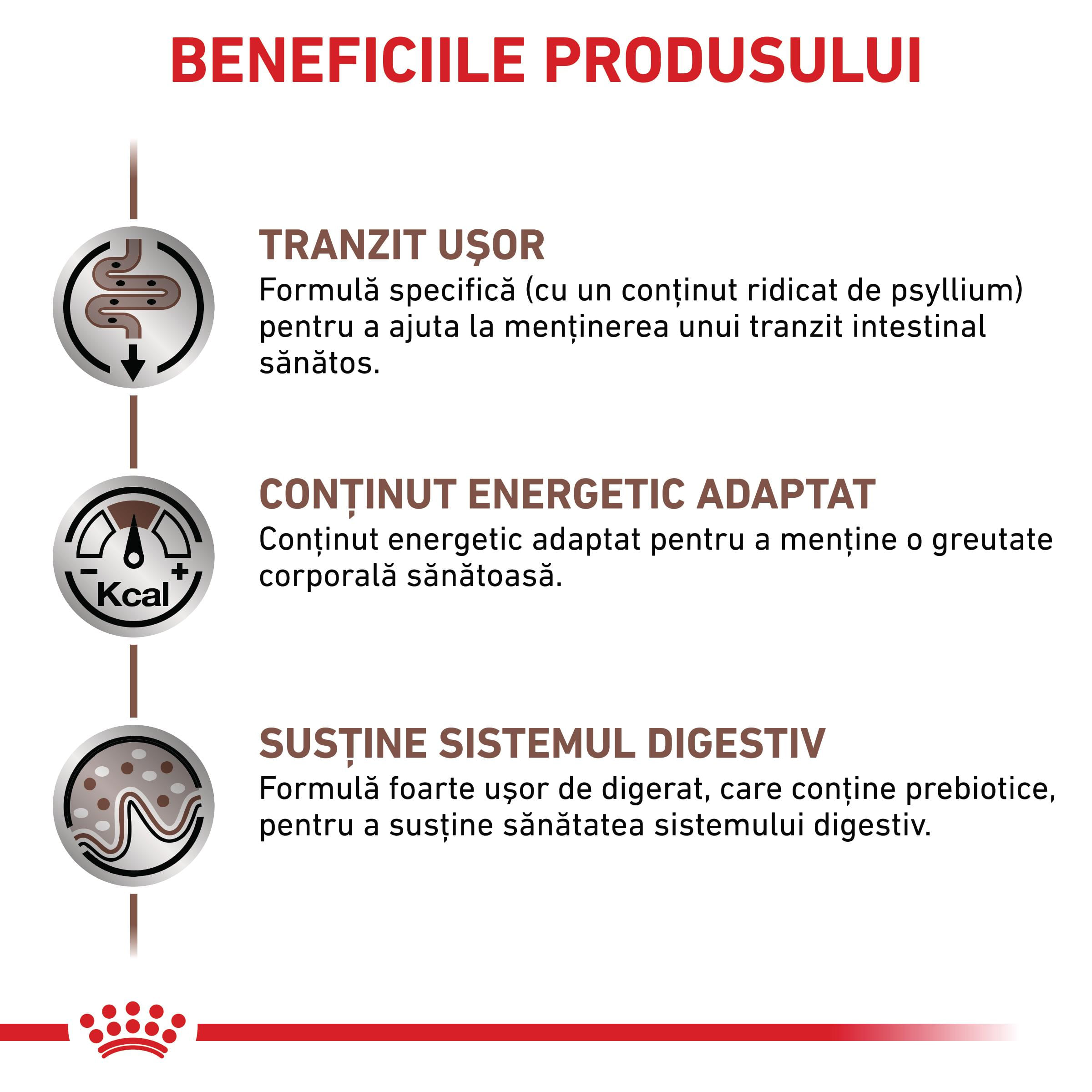 ROYAL CANIN VD Gastrointestinal Fibre Response, dietă veterinară, hrană uscată pisici, sistem digestiv, 400g - poza 4