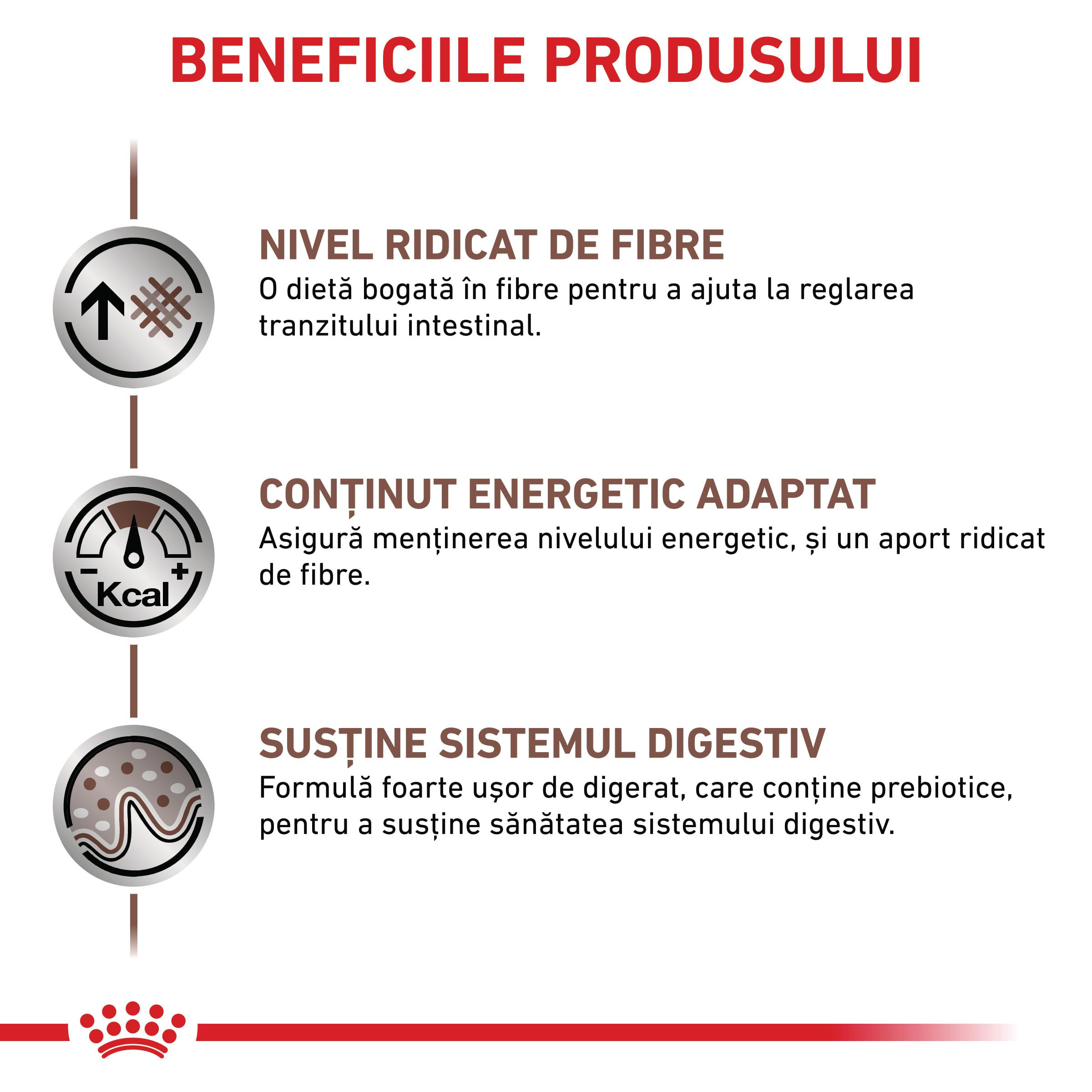ROYAL CANIN VD Gastrointestinal High Fibre, XS-XL, dietă veterinară, conservă hrană umedă câini, sistem digestiv, (pate), 200g - poza 4