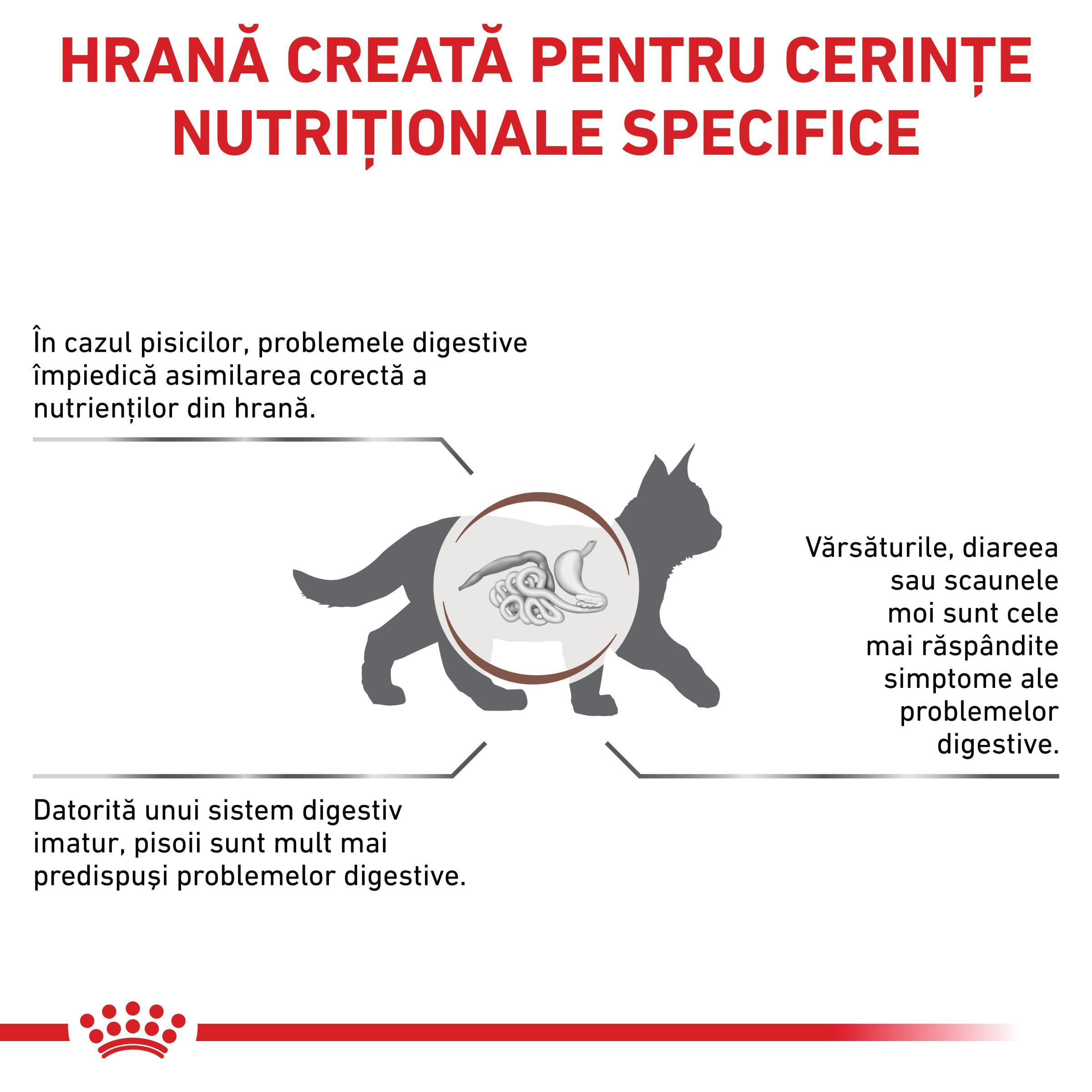 ROYAL CANIN VD Gastrointestinal Kitten, dietă veterinară, hrană uscată pisici junior, sistem digestiv, 2kg - poza 3