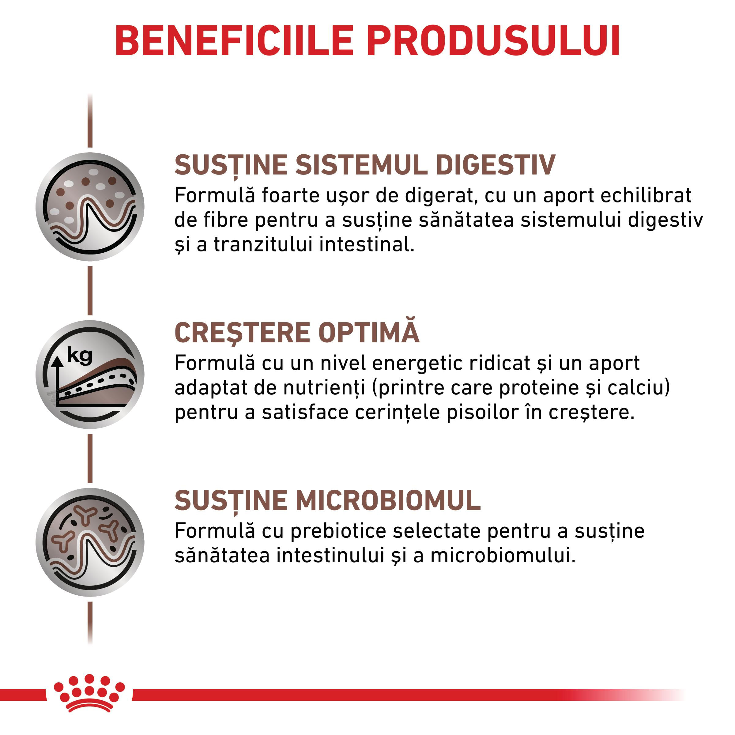ROYAL CANIN VD Gastrointestinal Kitten, dietă veterinară, hrană uscată pisici junior, sistem digestiv, 400g - poza 4