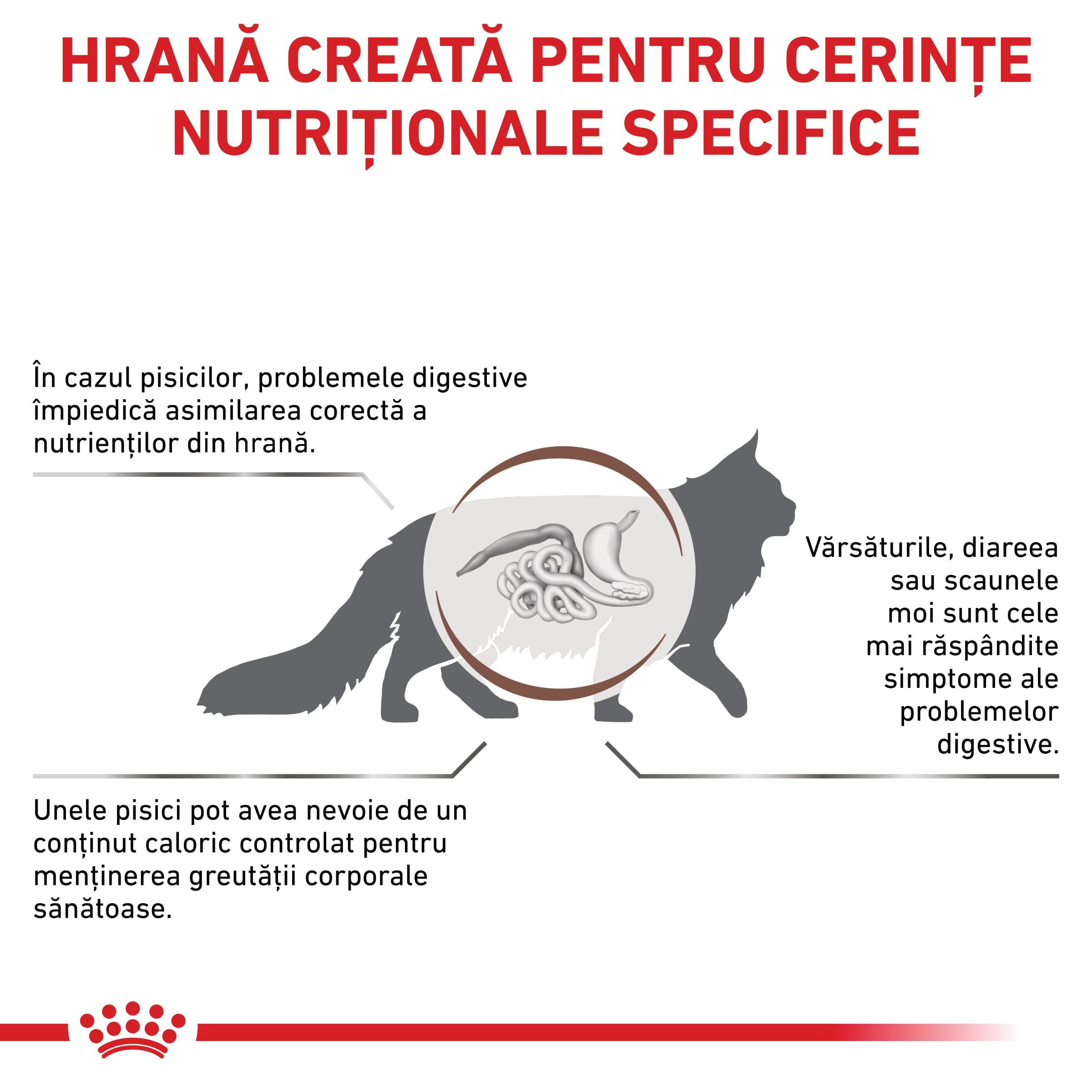 ROYAL CANIN VD Gastrointestinal Moderate Calorie, dietă veterinară, hrană uscată pisici, sistem digestiv, 2kg - poza 3