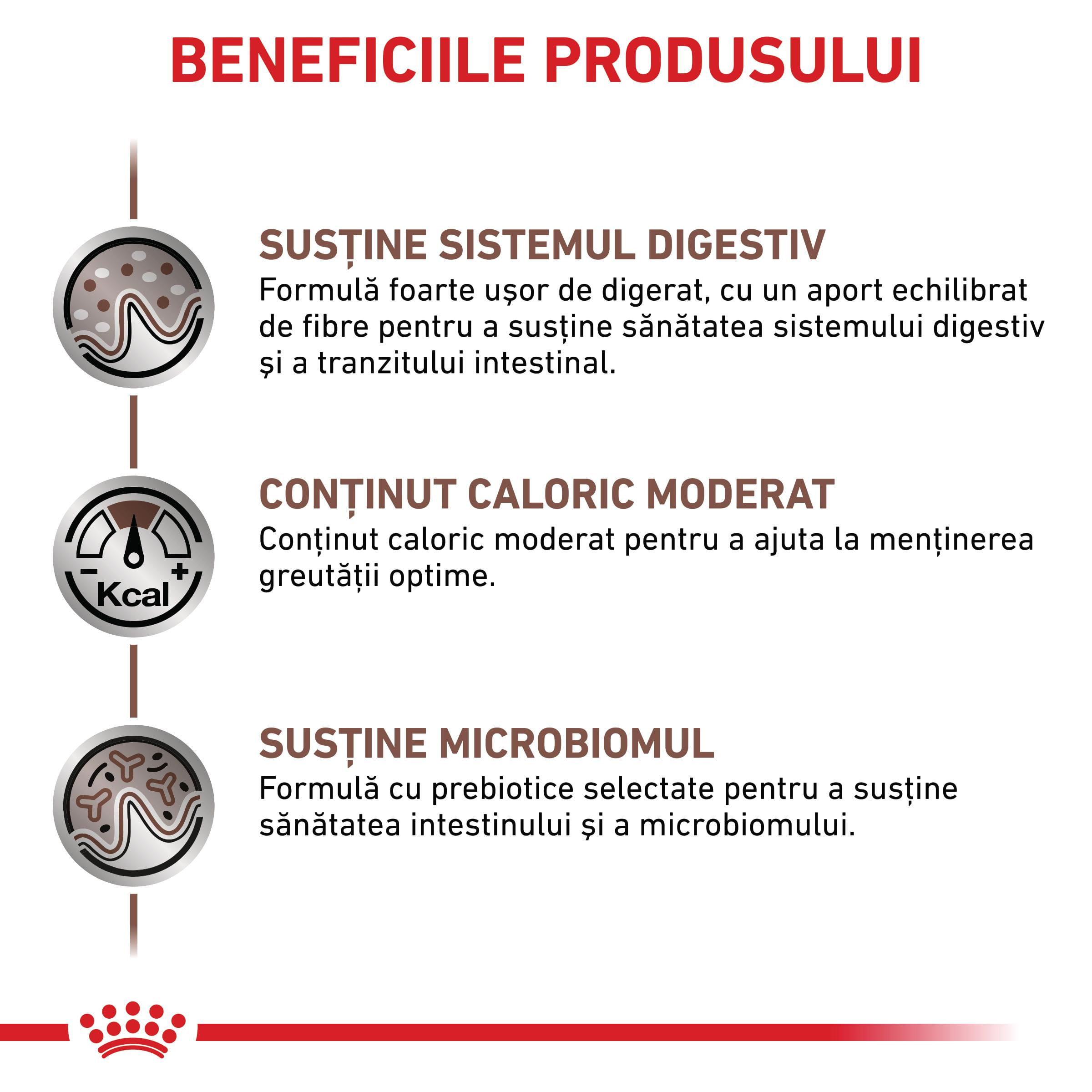 ROYAL CANIN VD Gastrointestinal Moderate Calorie, dietă veterinară, hrană uscată pisici, sistem digestiv, 2kg - poza 4