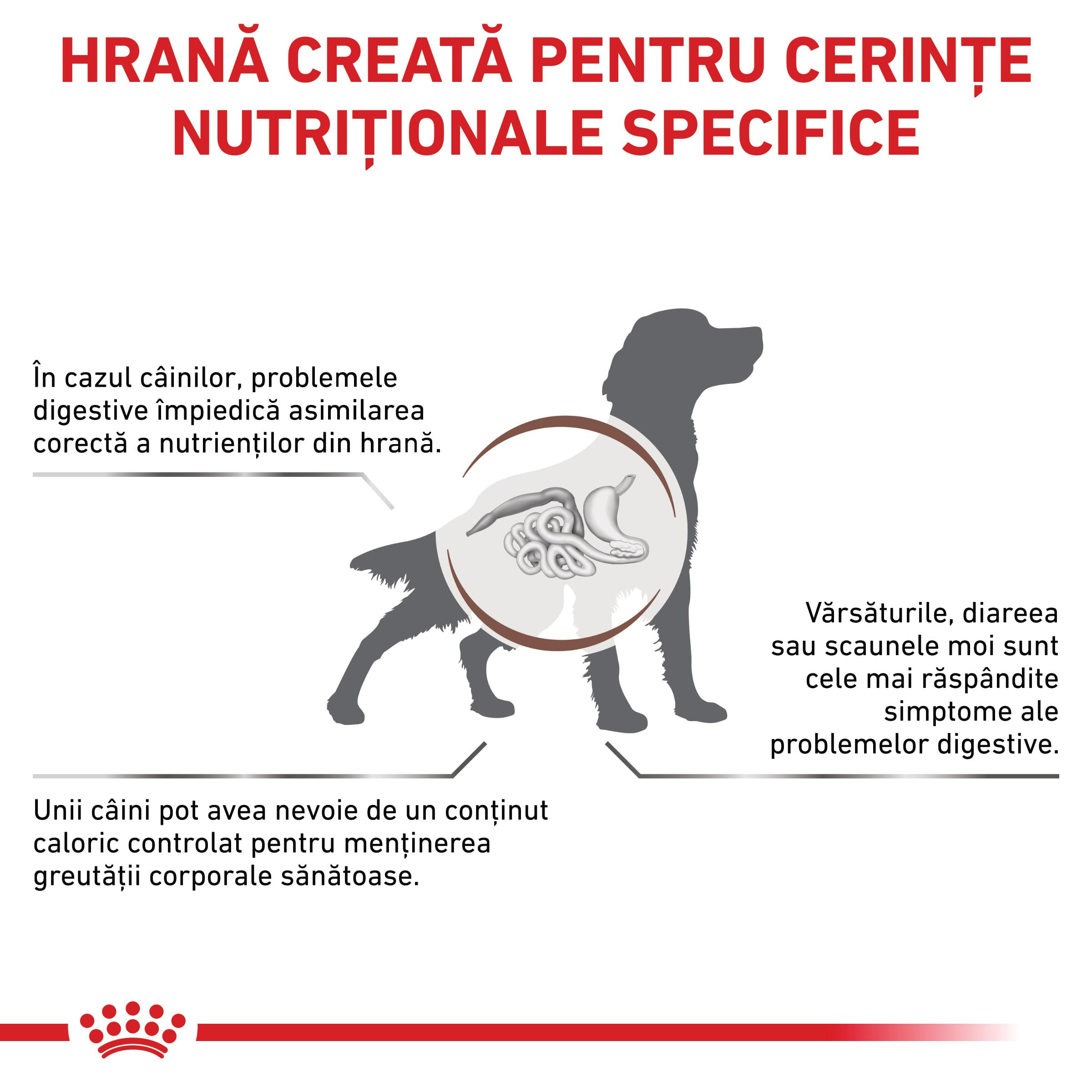 ROYAL CANIN VD Gastrointestinal Moderate Calorie, XS-XL, dietă veterinară, hrană uscată câini, sistem digestiv, 2kg - poza 3