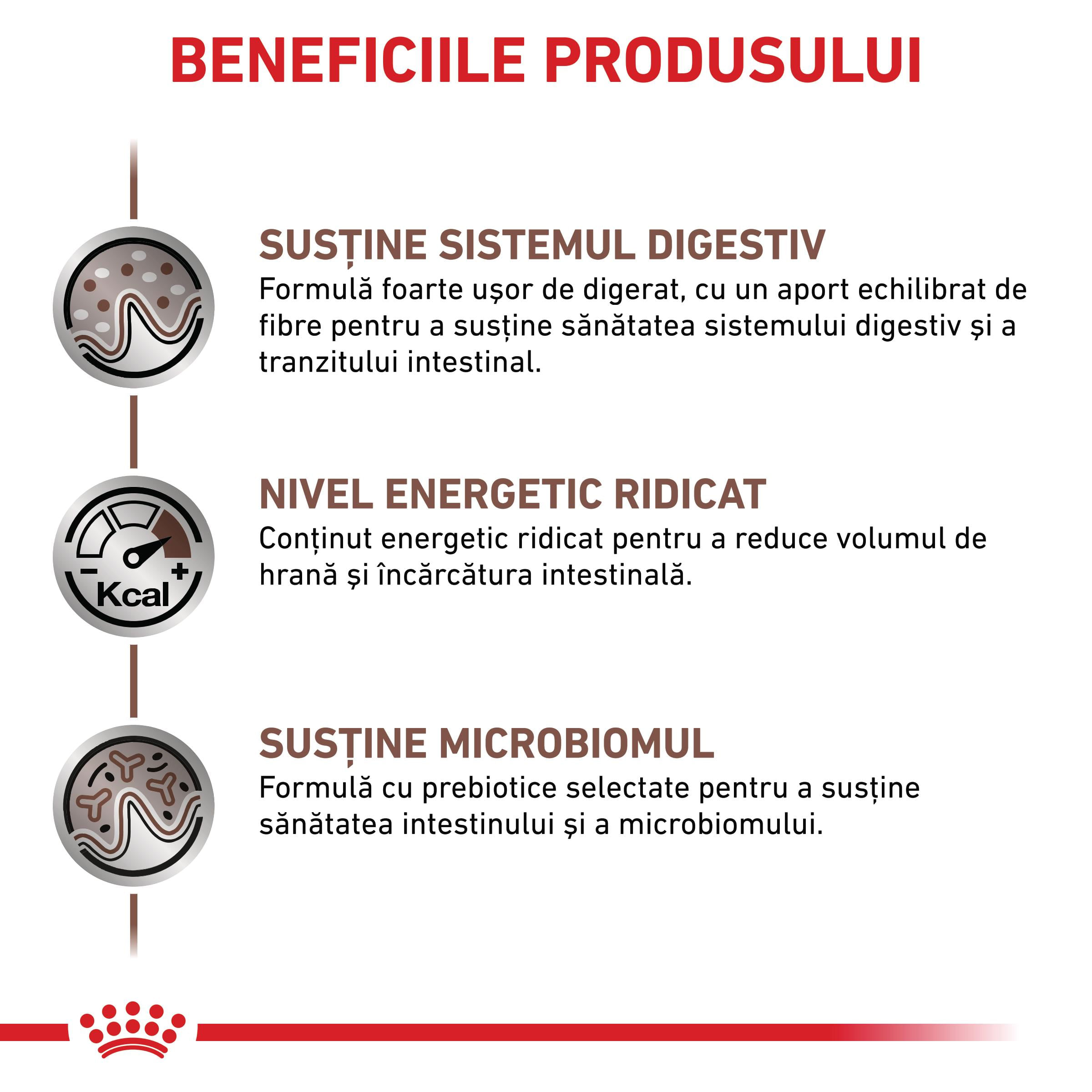 ROYAL CANIN VD Gastrointestinal , XS-XL, dietă veterinară, conservă hrană umedă câini, sistem digestiv, (pate), 400g - poza 3