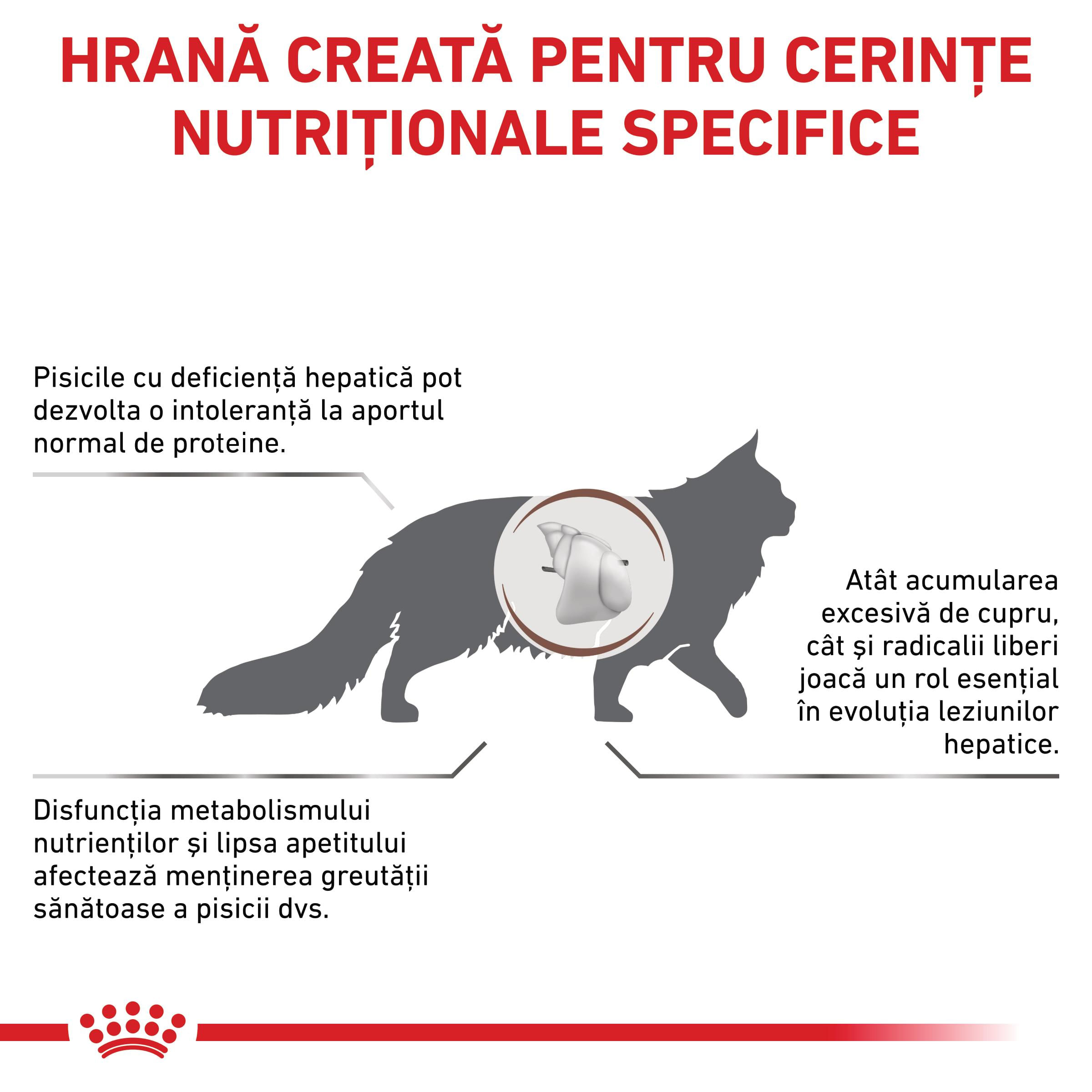ROYAL CANIN VD Hepatic, dietă veterinară, hrană uscată pisici, suport hepatic, 2kg - poza 3