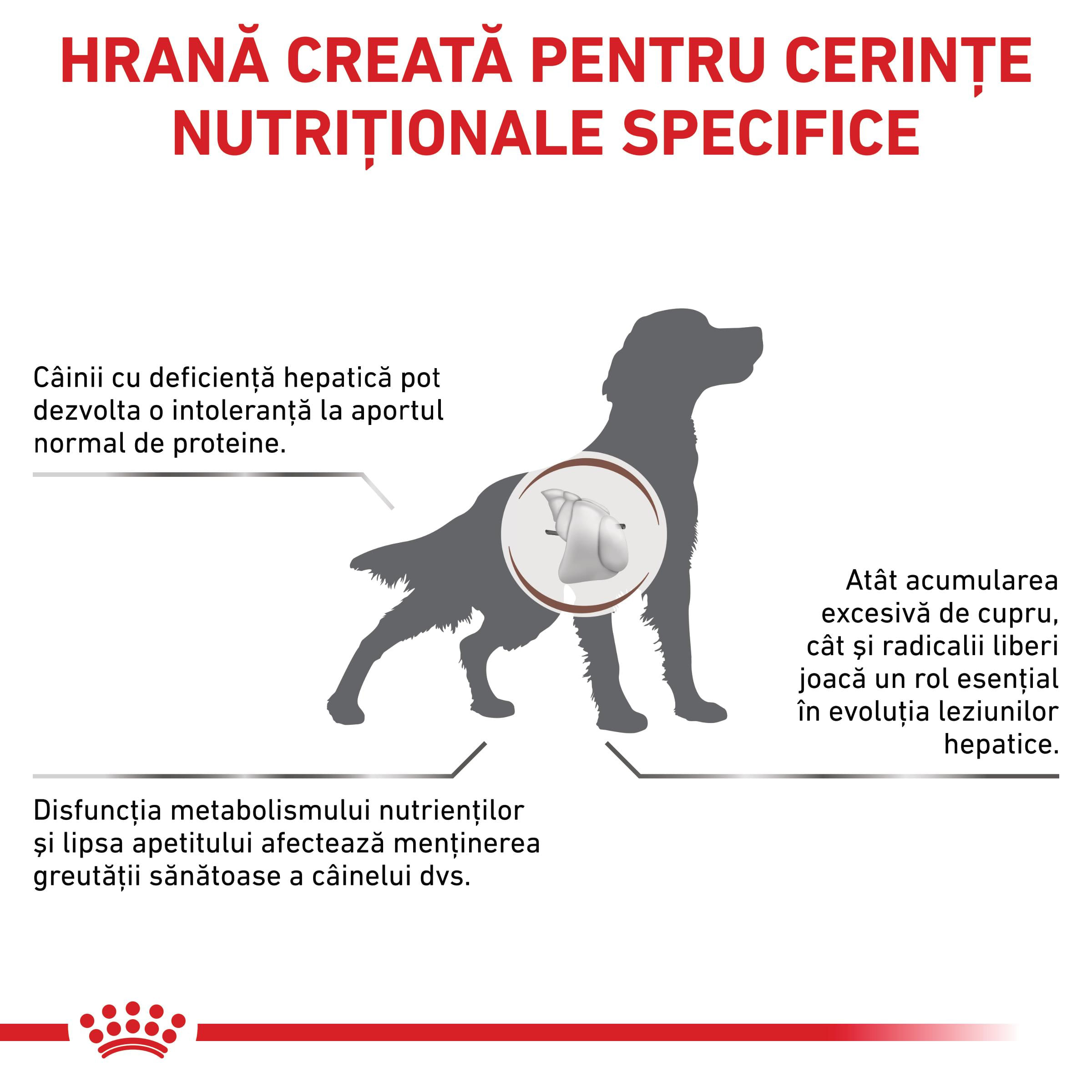 ROYAL CANIN VD Hepatic, XS-XL, dietă veterinară, hrană uscată câini, suport hepatic, 12kg - poza 3