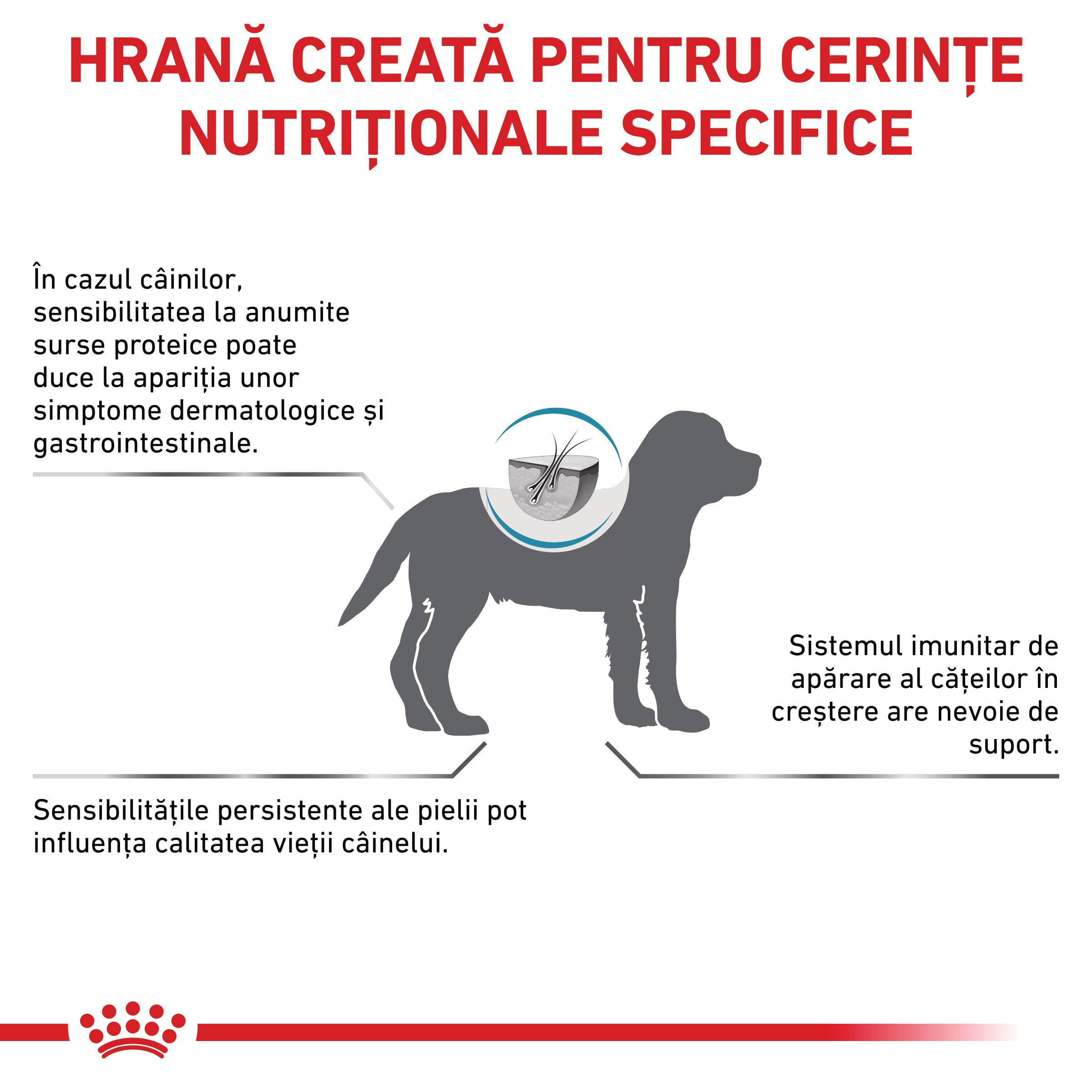 ROYAL CANIN VD Hypoallergenic Puppy, XS-XL, dietă veterinară, hrană uscată câini junior, afecțiuni dermatologice, 1.5kg - poza 3