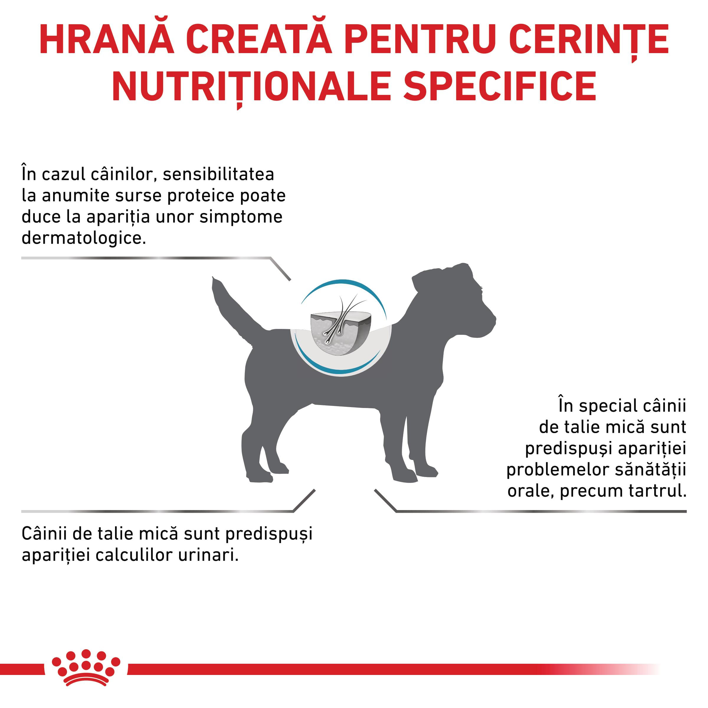 ROYAL CANIN VD Hypoallergenic Small Dog, XS-S, dietă veterinară, hrană uscată câini, alergii alimentare, 1kg - poza 3