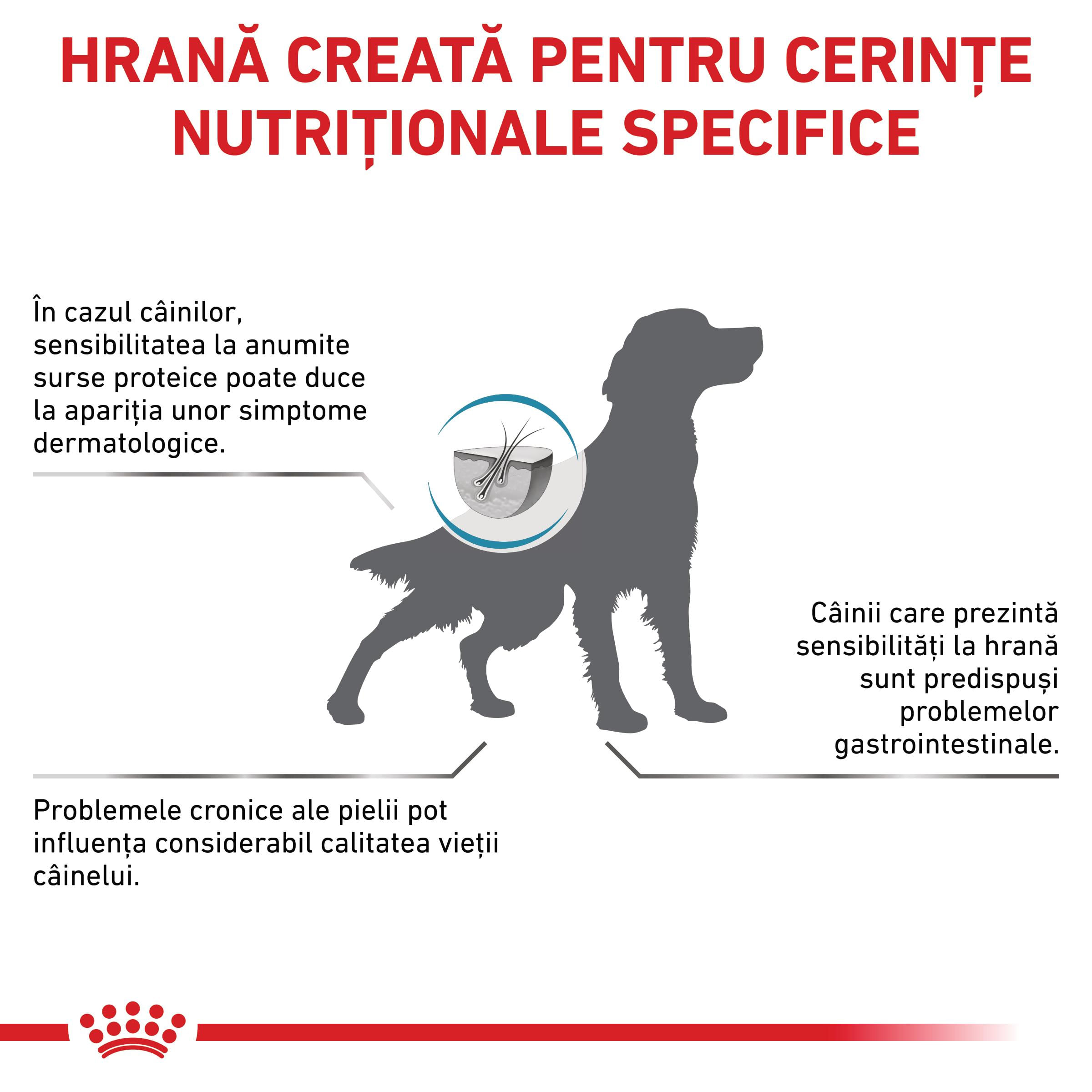 ROYAL CANIN VD Hypoallergenic, XS-XL, dietă veterinară, hrană uscată câini, alergii alimentare, 14kg - poza 3