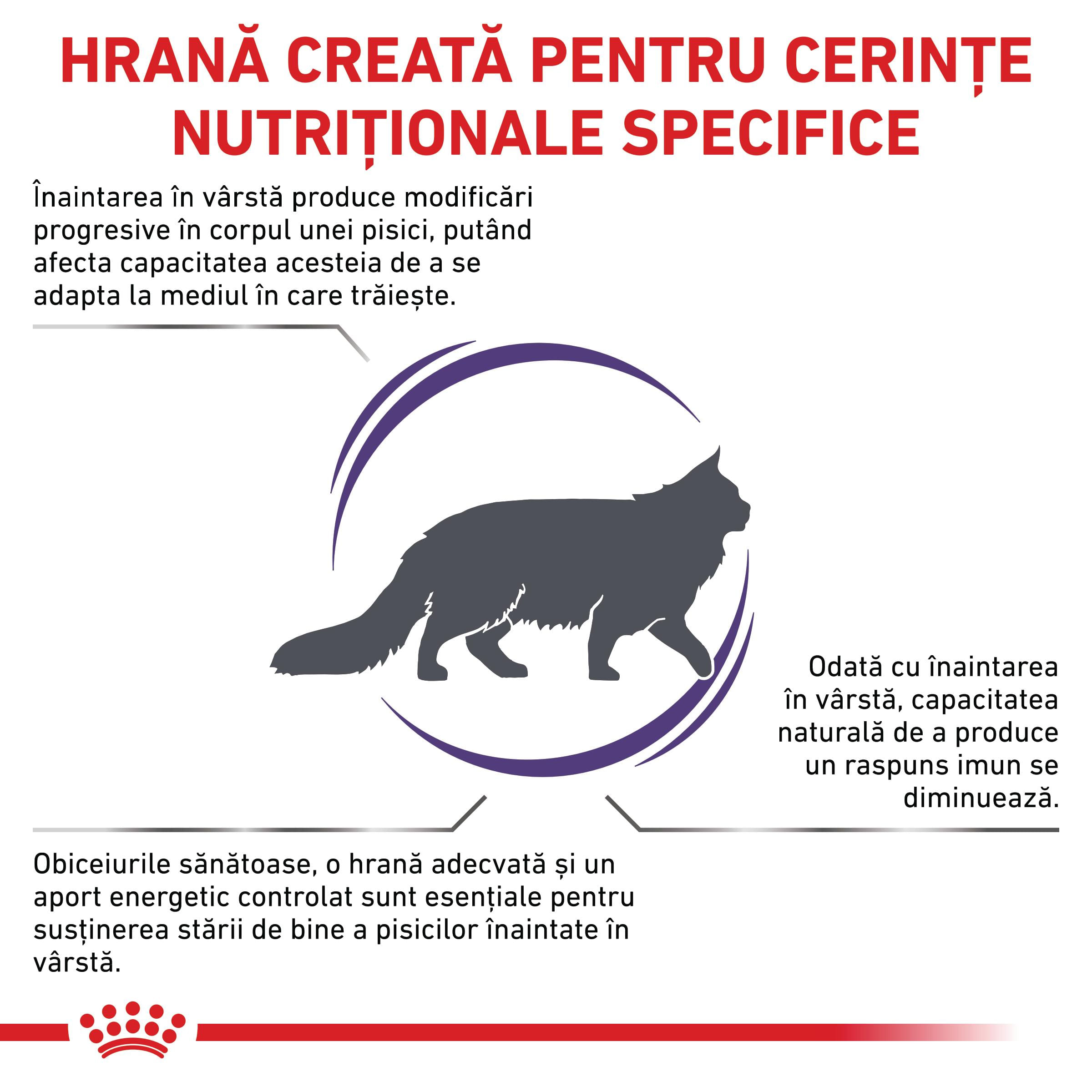 ROYAL CANIN VD Mature Consult, dietă veterinară, hrană uscată pisici senior, 3.5kg - poza 3