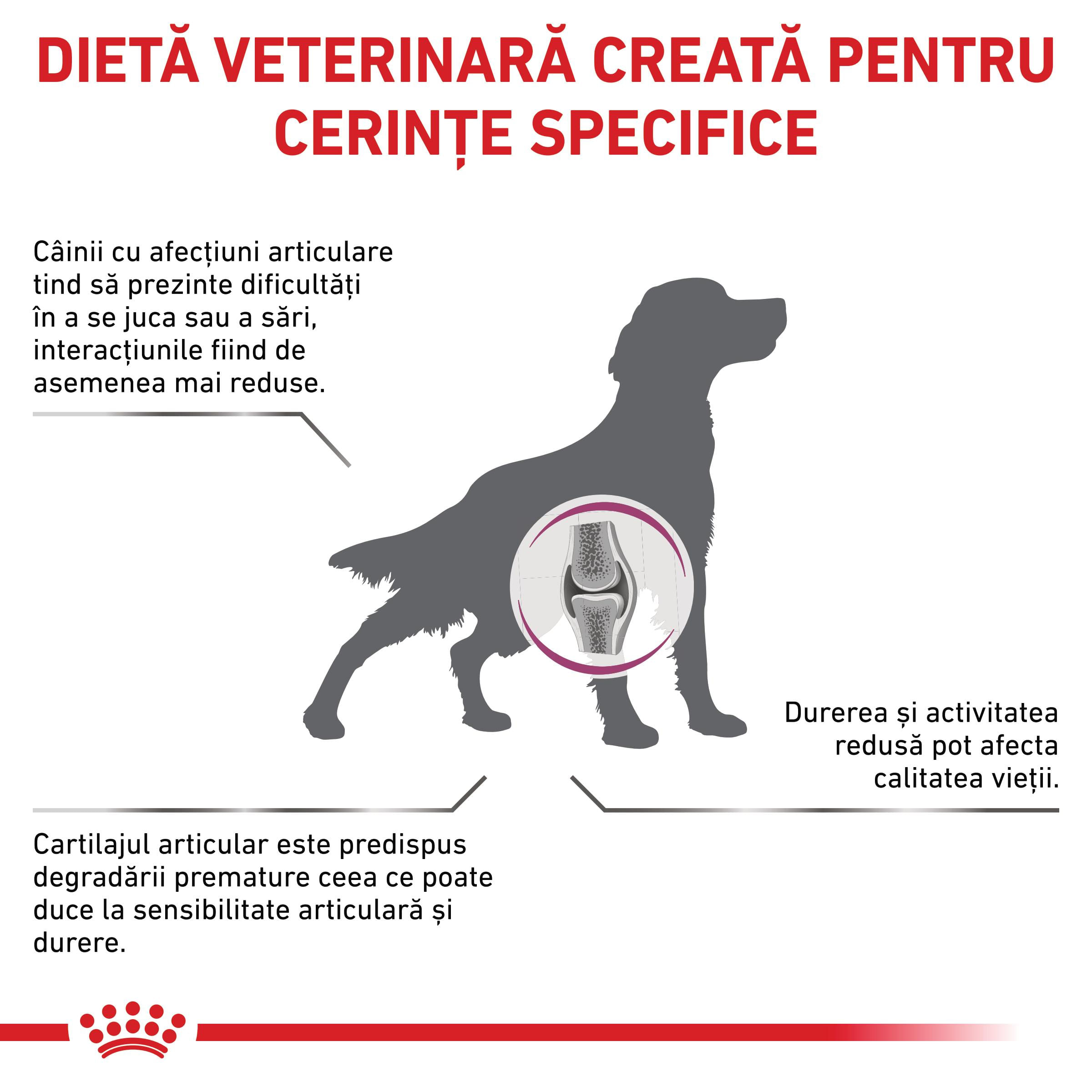 ROYAL CANIN VD Mobility Support, XS-XL, dietă veterinară, hrană uscată câini, sistem articular, 7kg - poza 3