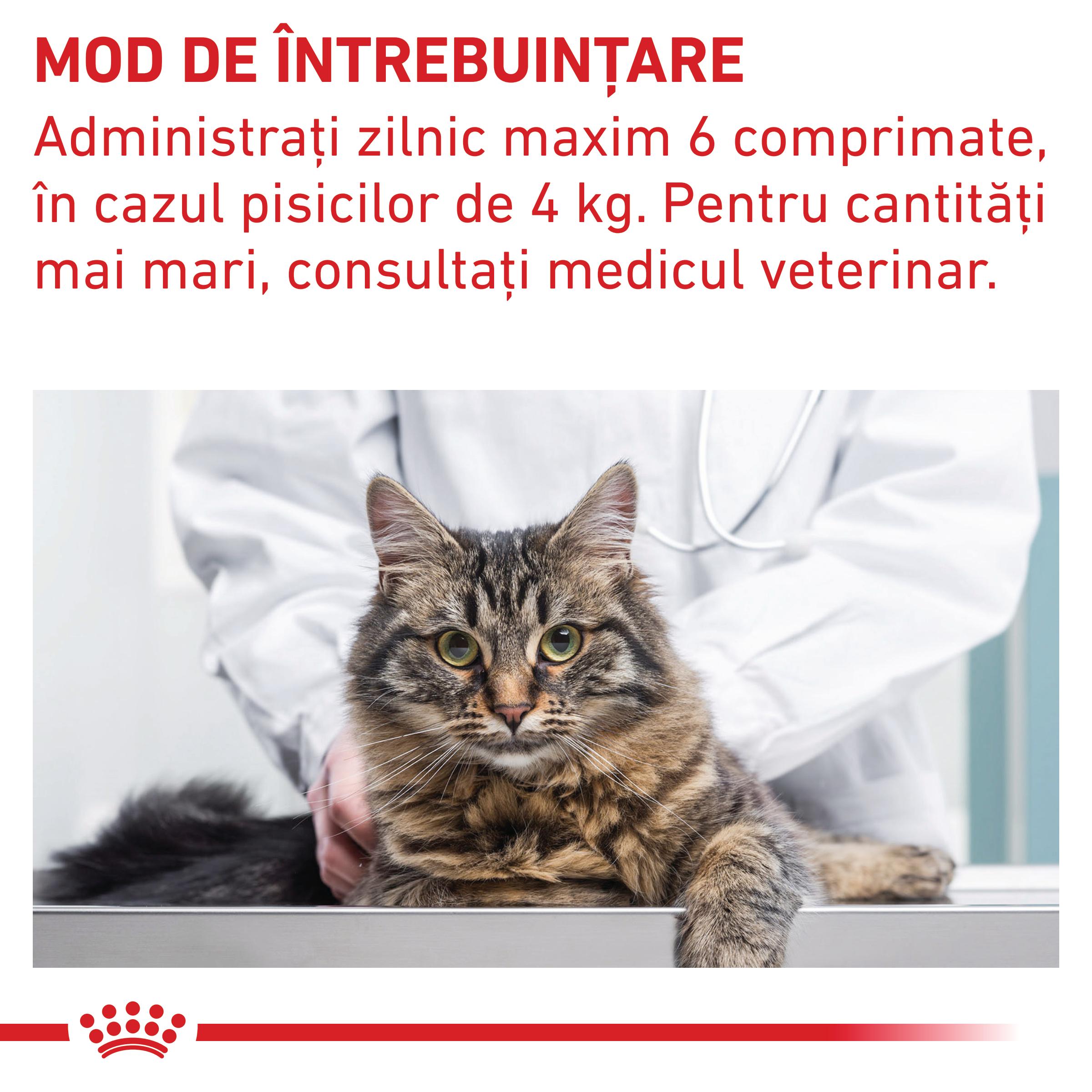 ROYAL CANIN VD Pill Assist Cat, dietă veterinară pisici, 45g - poza 5