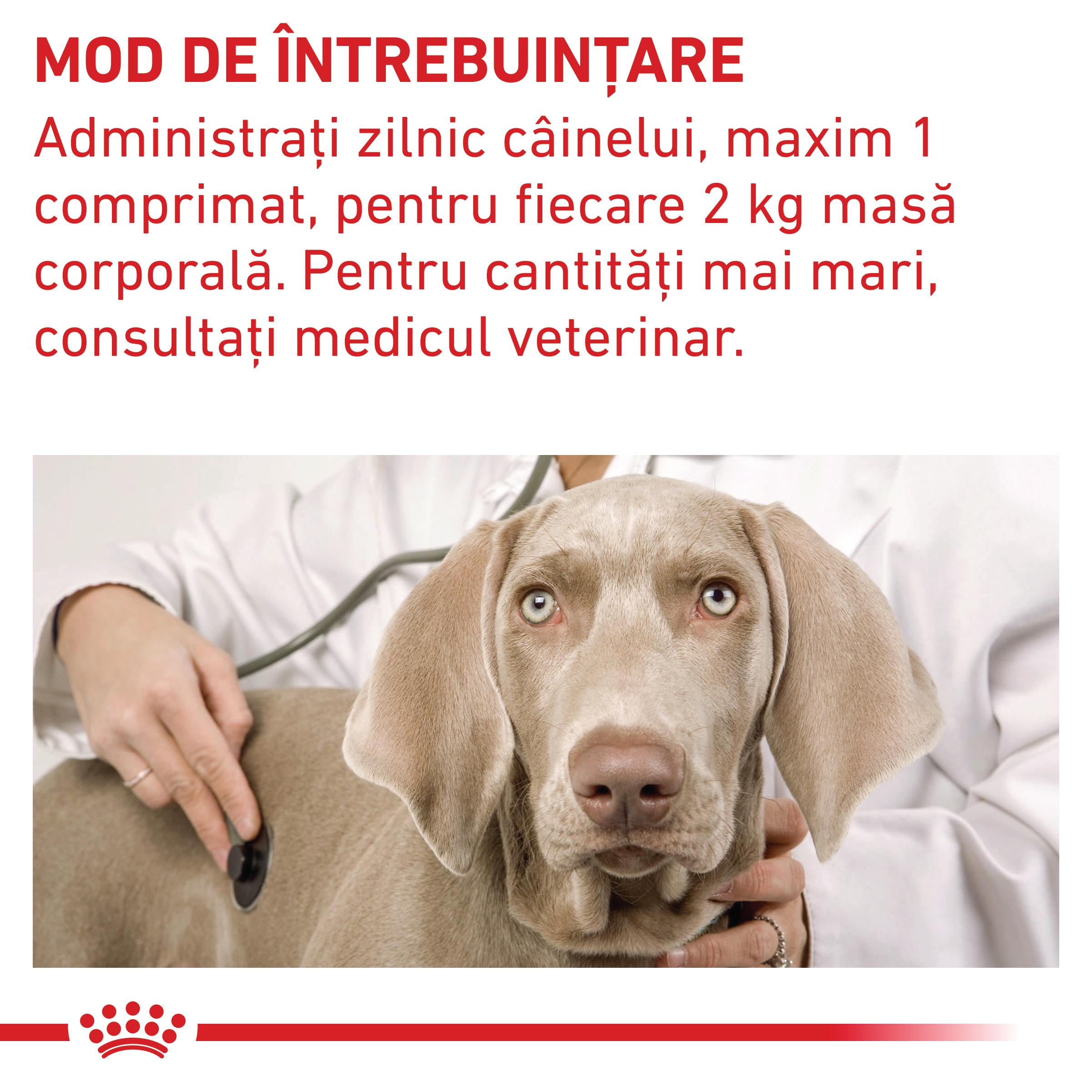 ROYAL CANIN VD Pill Assist Small Dog, dietă veterinară câini, 90g - poza 5